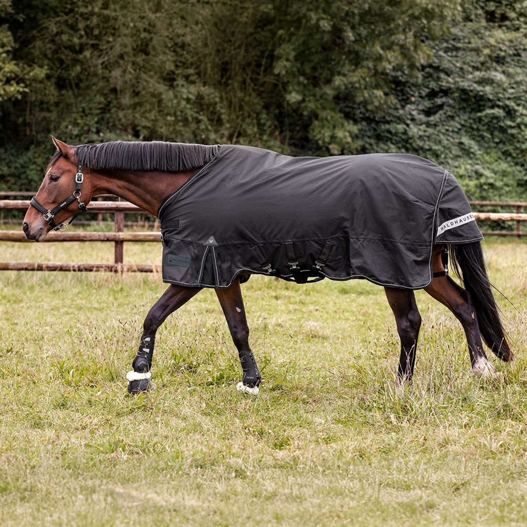 Waldhausen Outdoor Rug Scandic Multi-Layer 50/150g Black