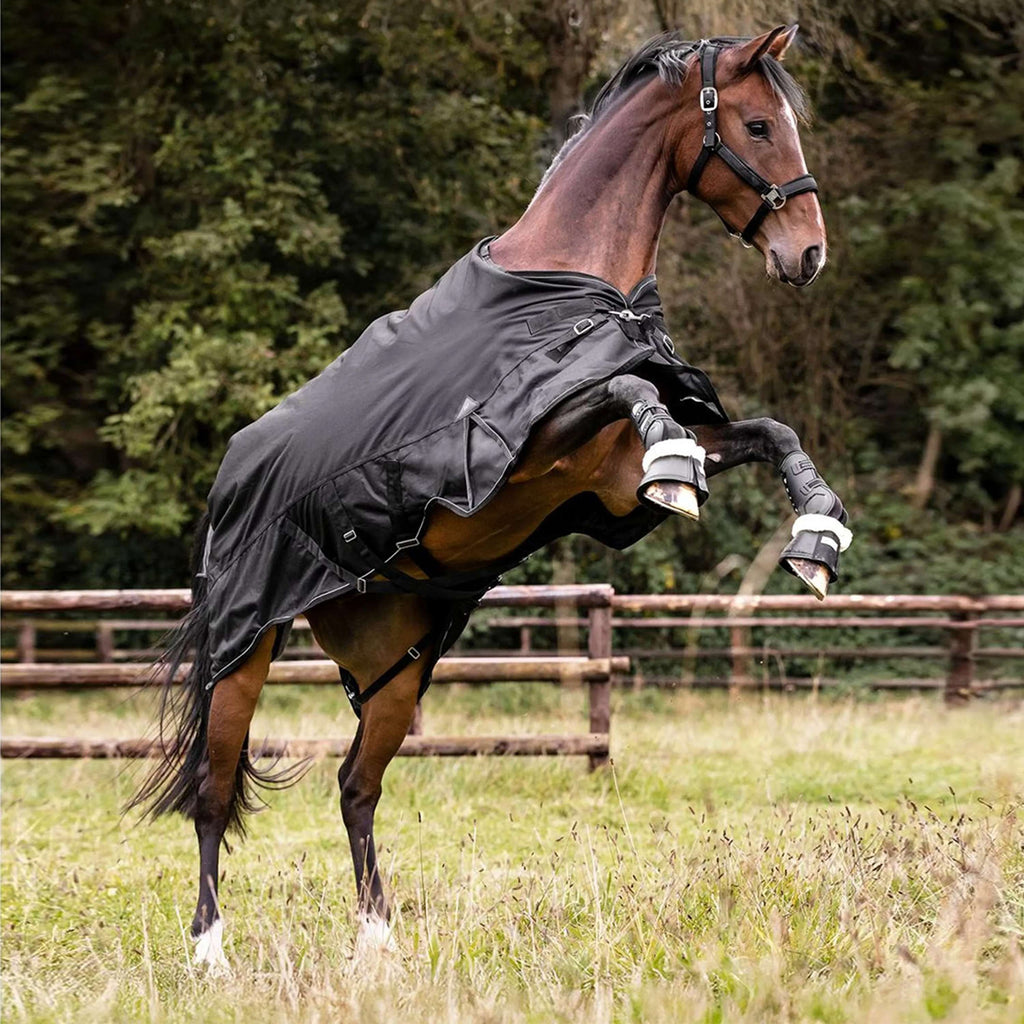 Waldhausen Outdoor Rug Scandic Multi-Layer 50/150g Black
