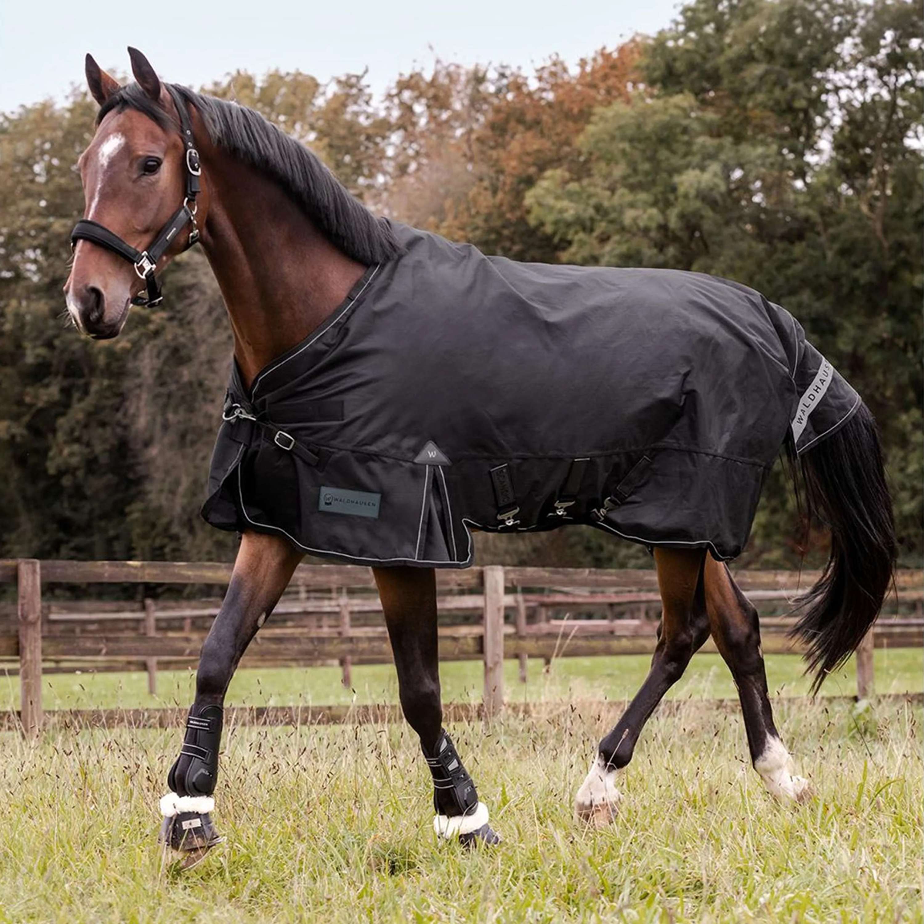 Waldhausen Outdoor Rug Scandic Multi-Layer 100/250g Black