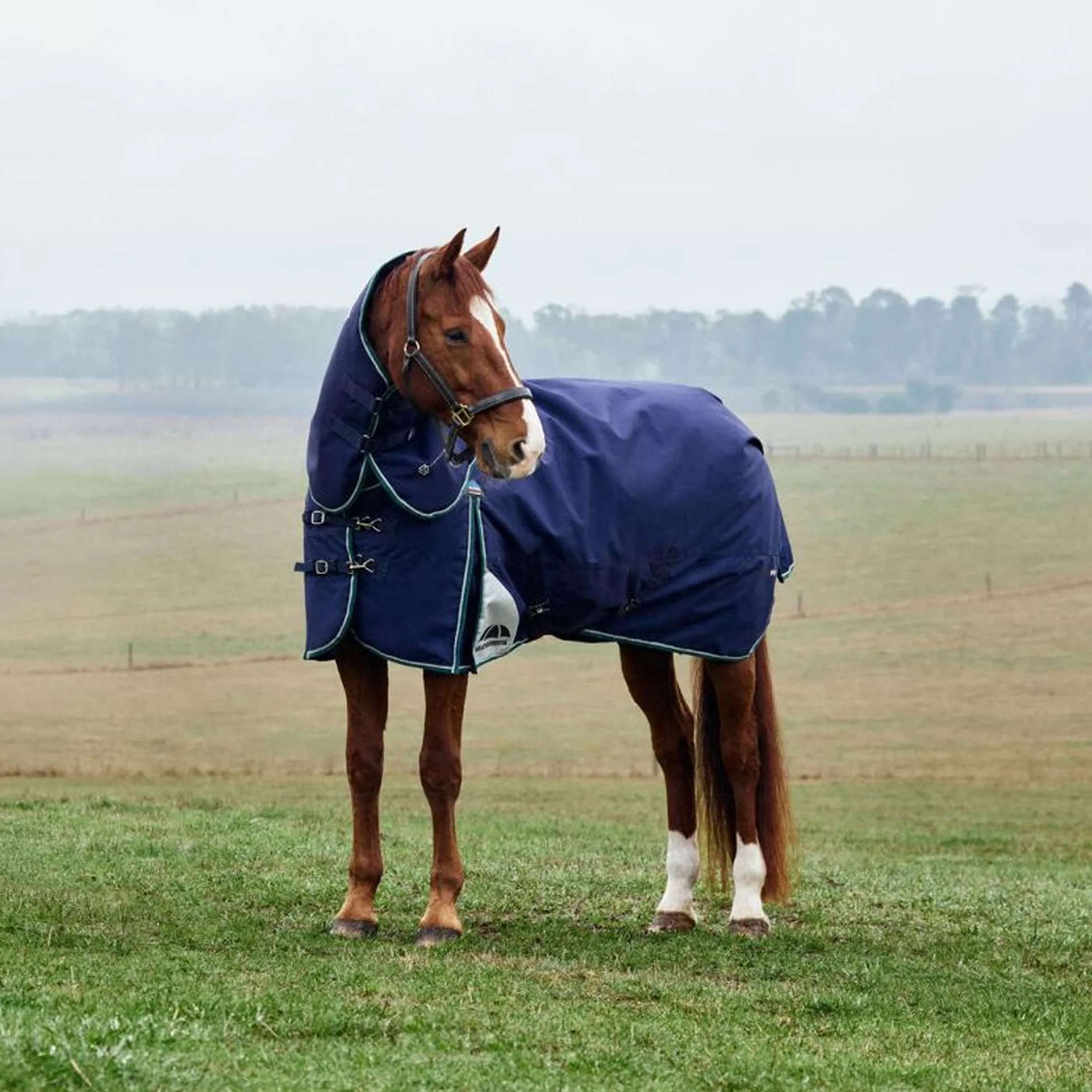 WeatherBeeta ComFiTec Plus Dynamic Turnout Detach-A-Neck 100g Navy/Forest Green
