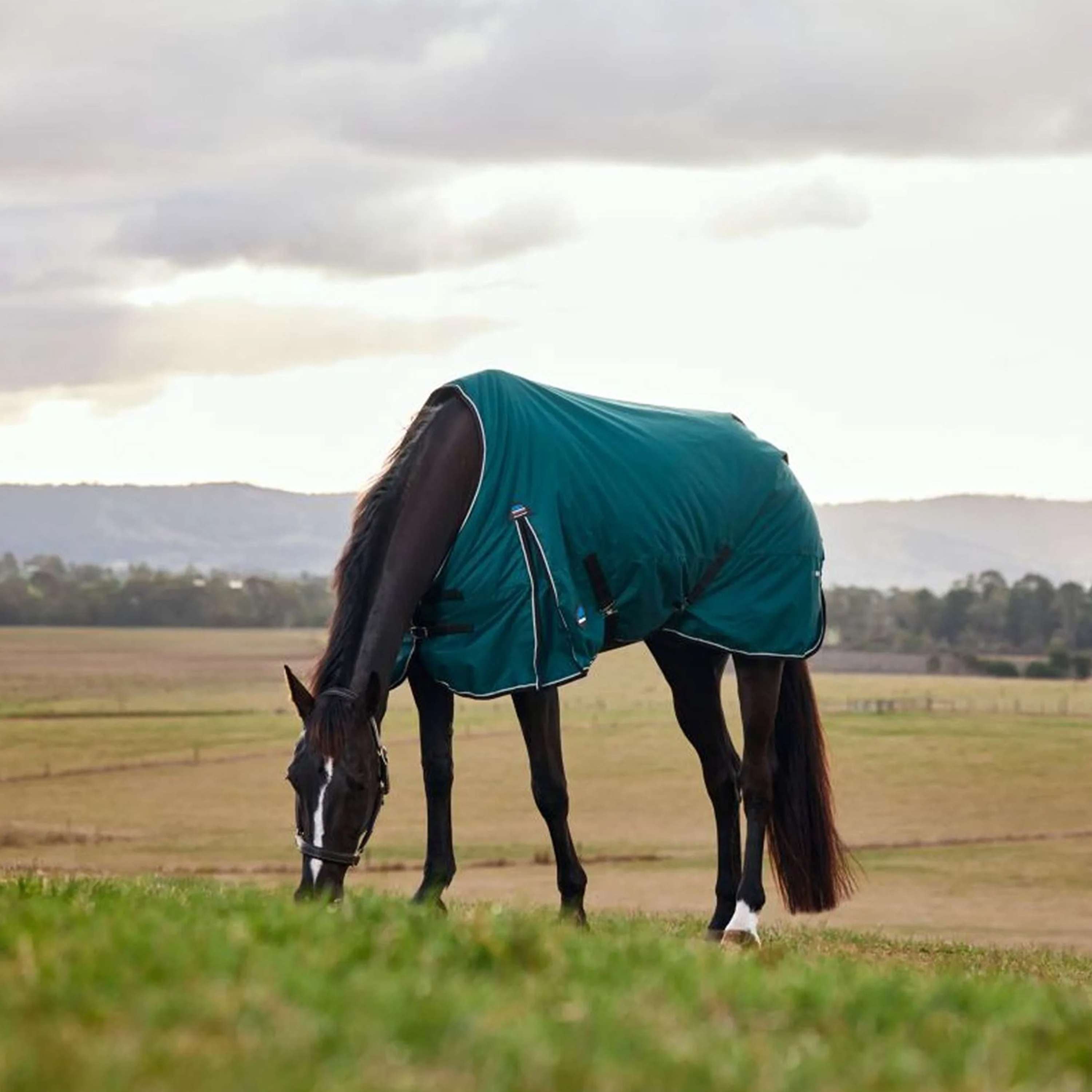 WeatherBeeta ComFiTec Classic Turnout 50g Forest Green/Black