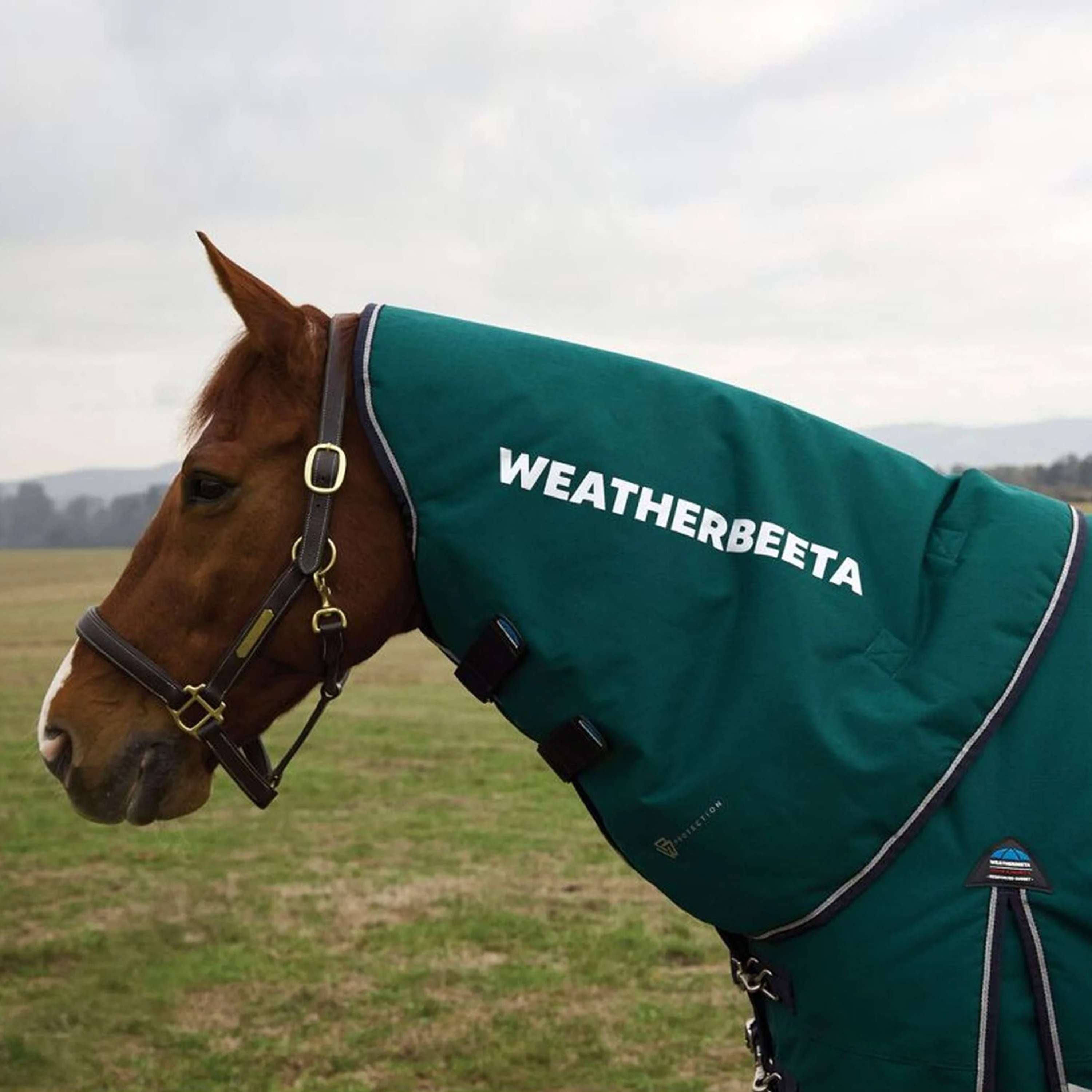 WeatherBeeta Neck Cover ComFiTec Plus Dynamic Turnout 220g Forest Green/Navy