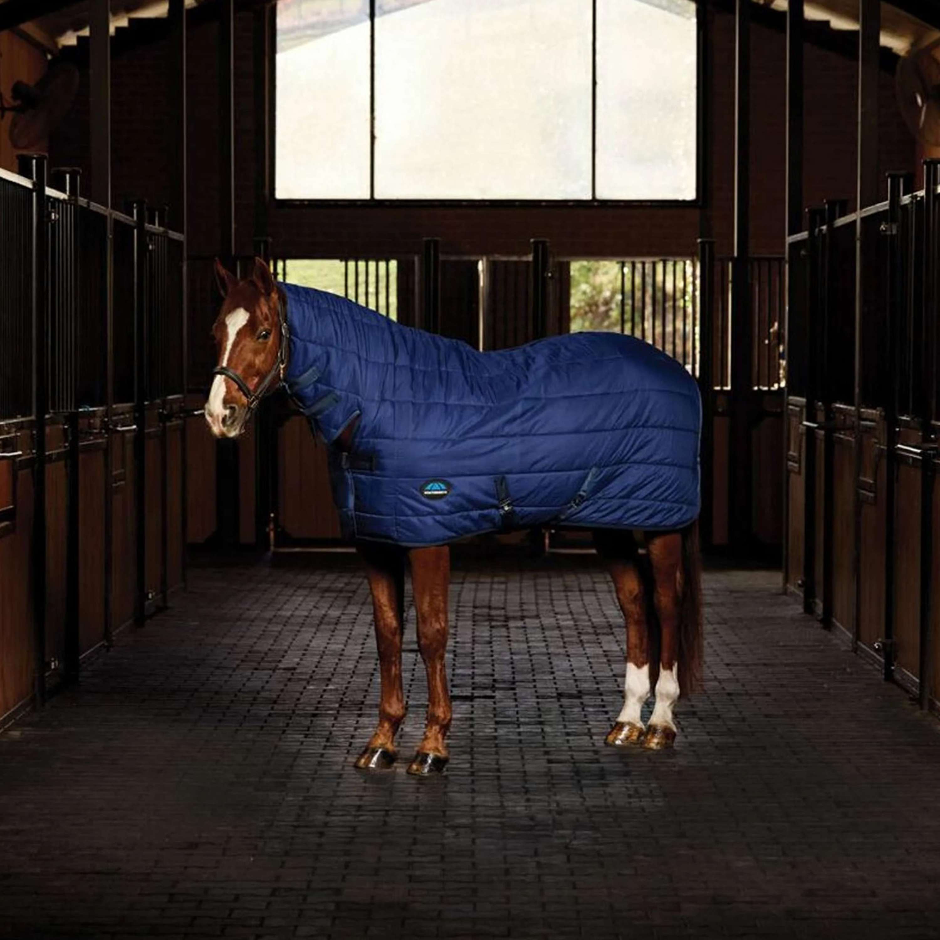 WeatherBeeta Under Rug ComFiTec Combo Neck 220g Navy