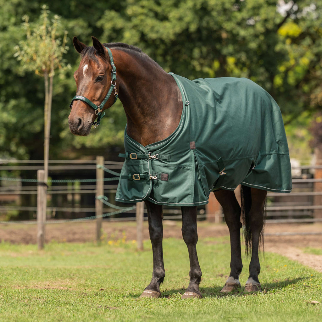 Agradi Horse Outdoor Rug 1200D 0gr Reflective Trim Green