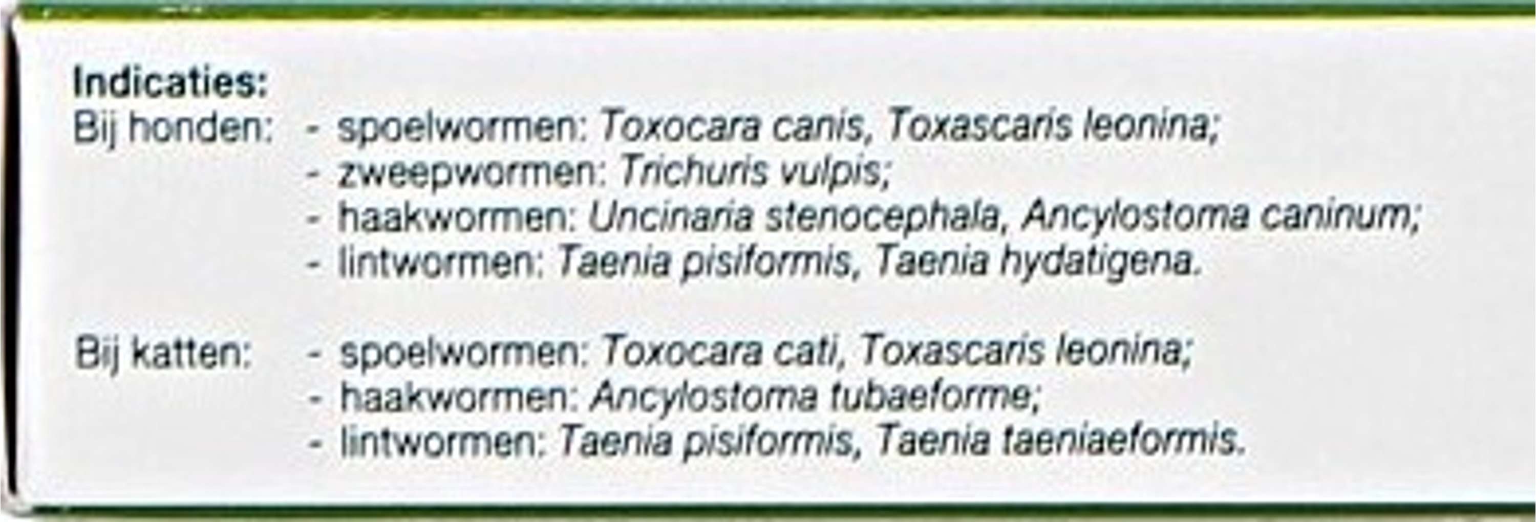 Flubenol KH Deworming Paste Injector Dog/Cat