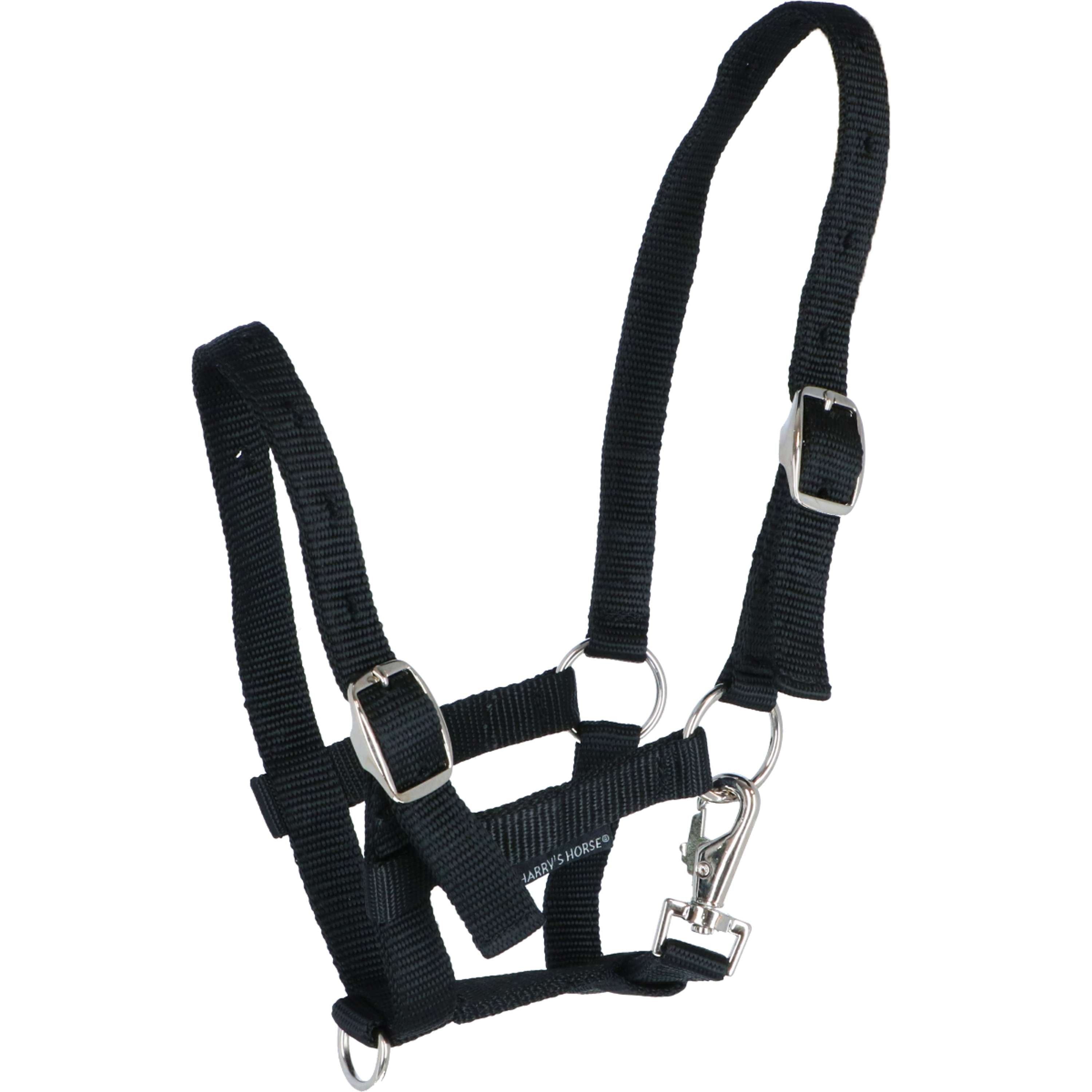 Harry's Horse Foal Halter Black