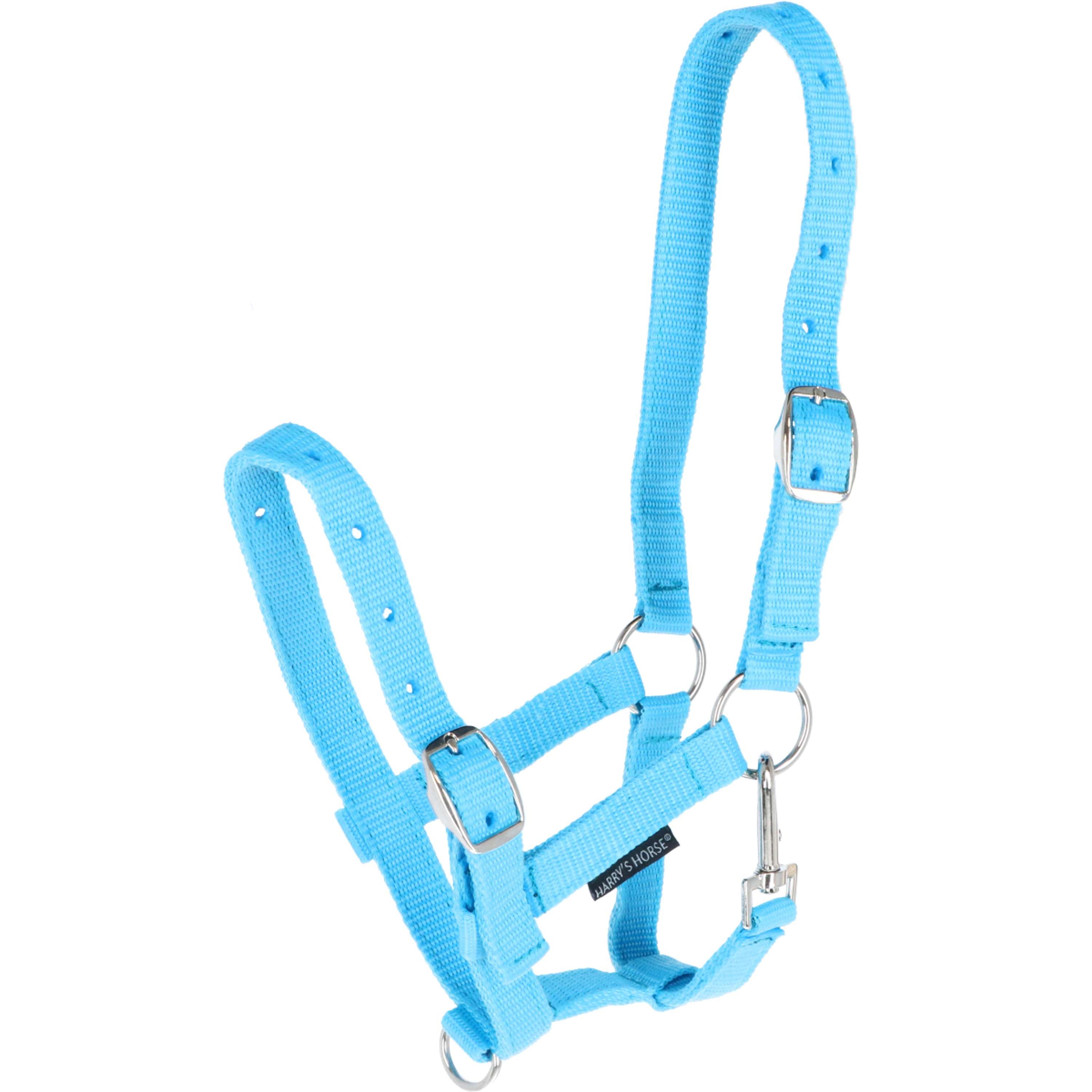 Harry's Horse Foal Halter Lightblue
