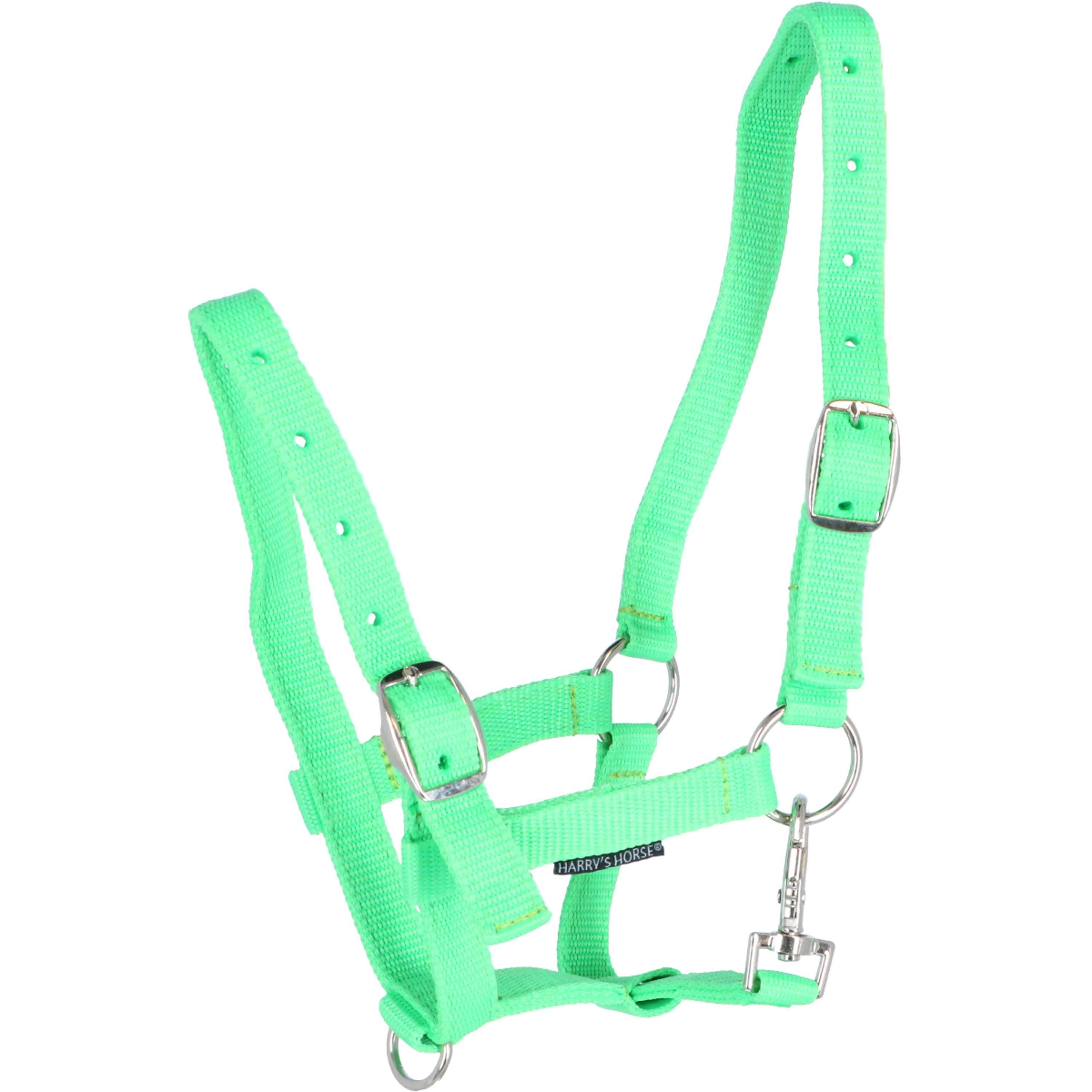 Harry's Horse Foal Halter Lime