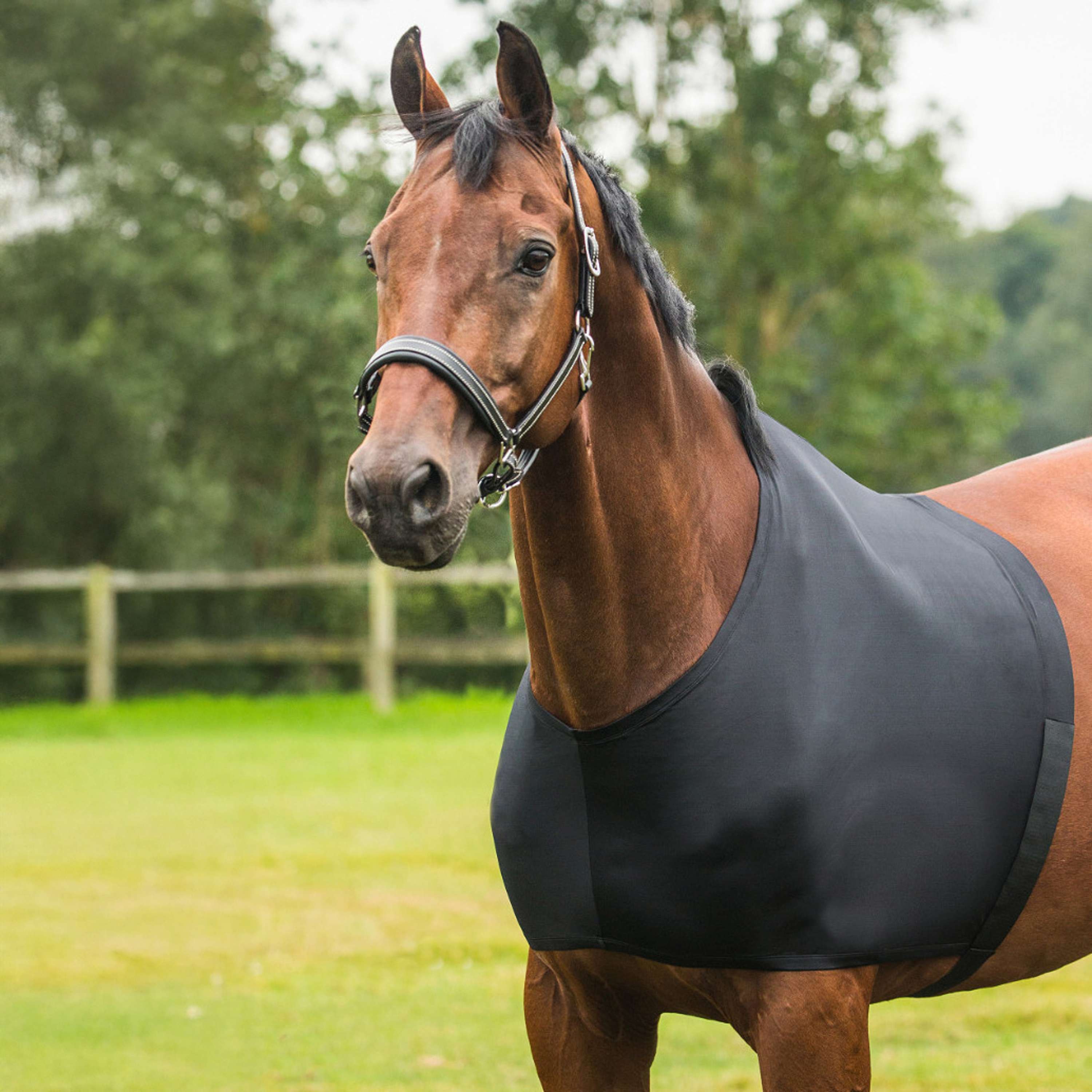 HORKA Shoulder Protector Black