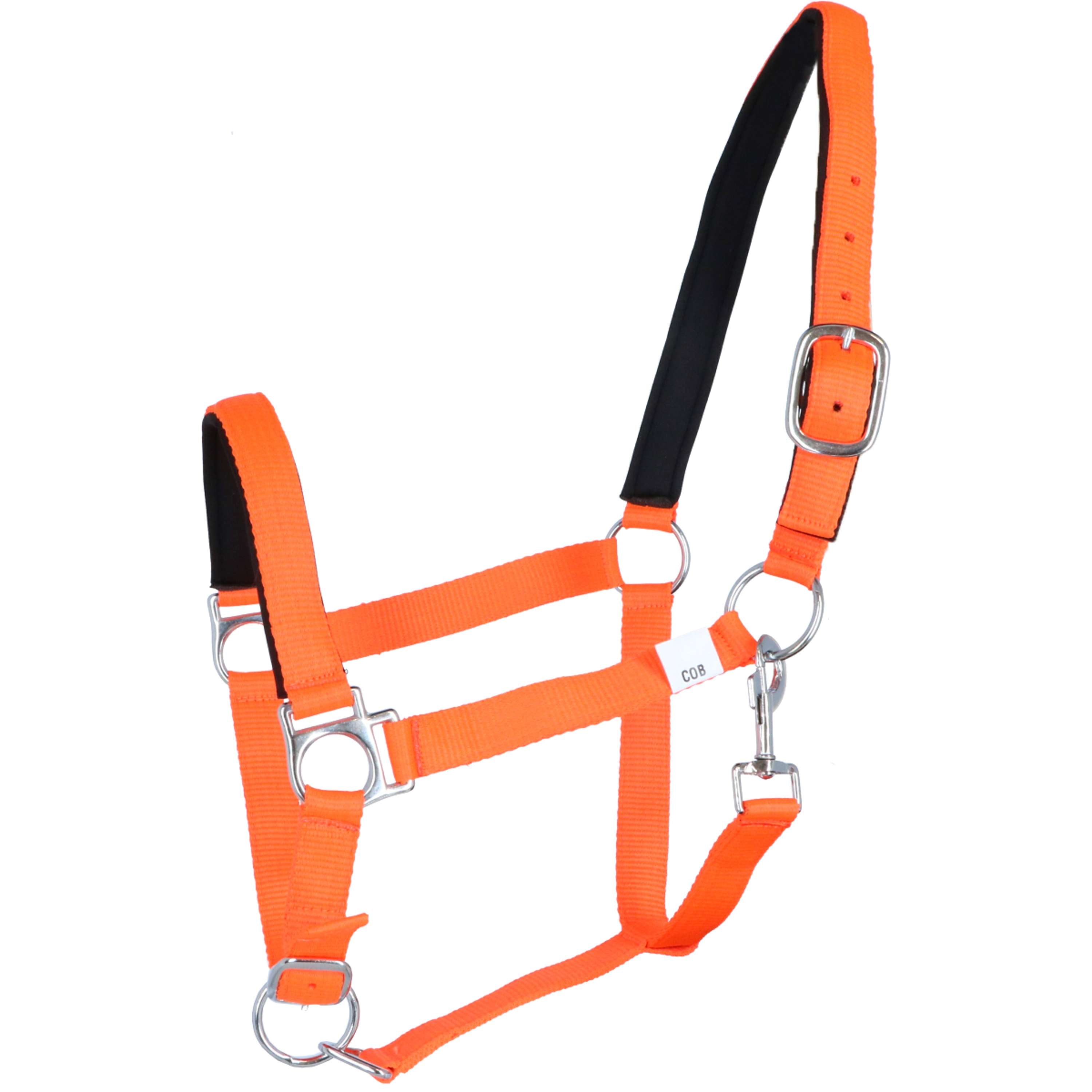 HKM Halter Stars Softice Neonorange