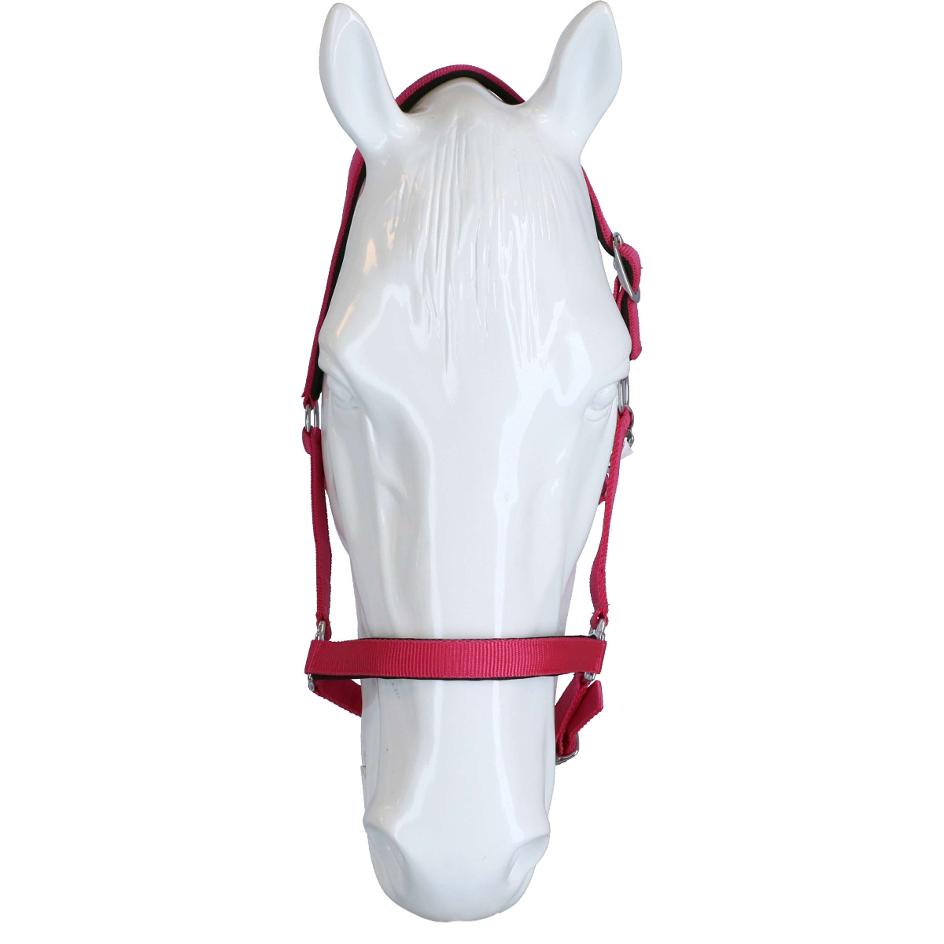 HKM Halter Stars Softice Pink