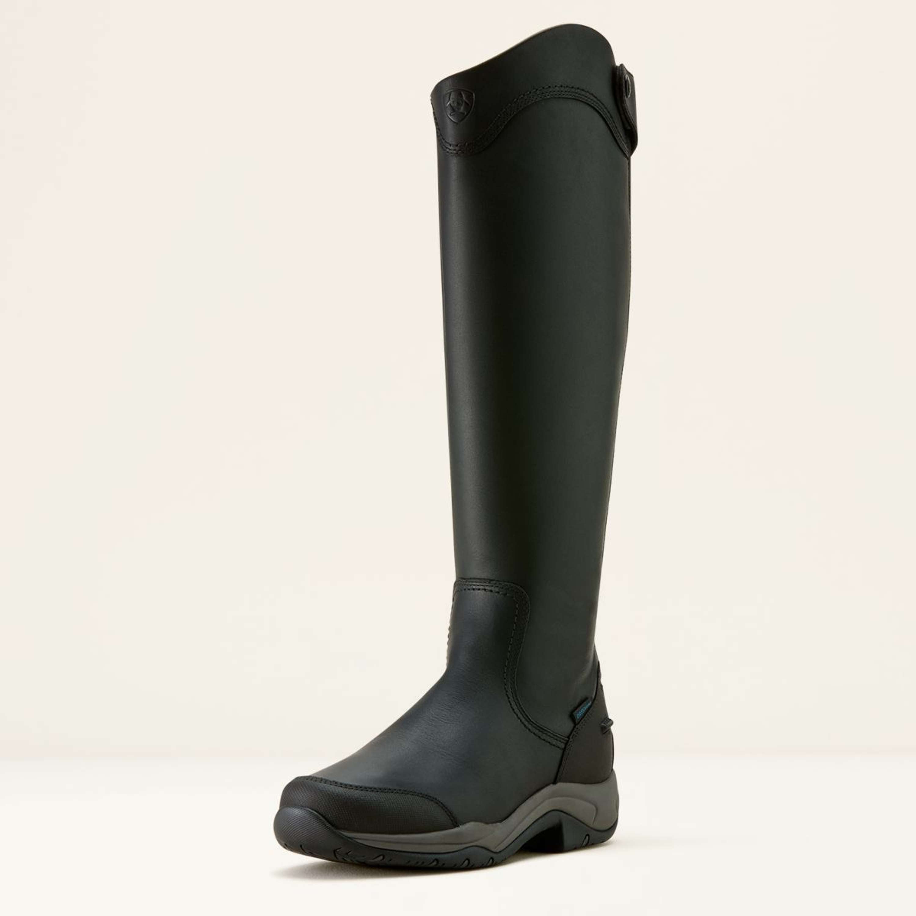 Ariat Riding Boots Telluride Tall H2O Black