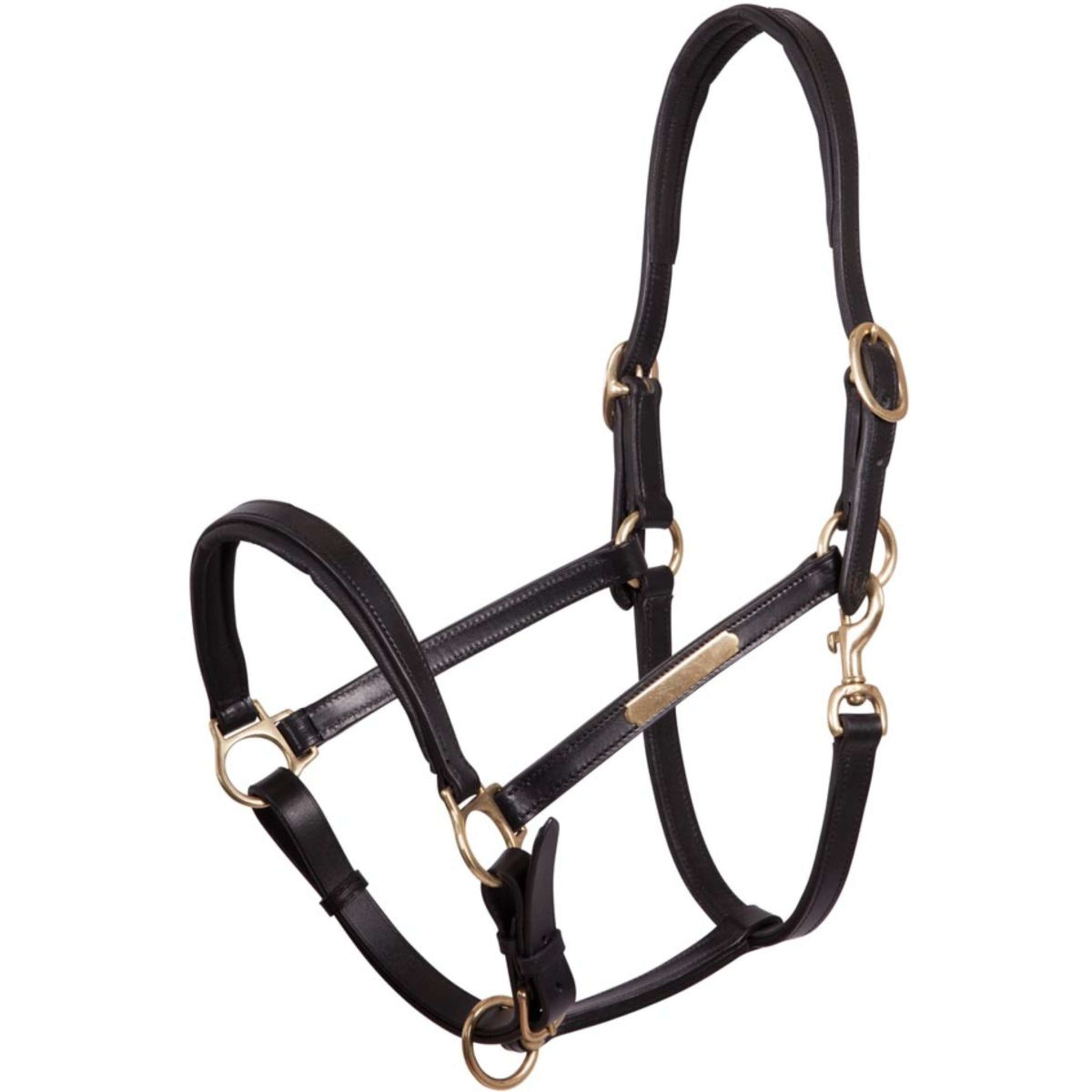 Premiere Halter Leather Lining Double Adjustable Black
