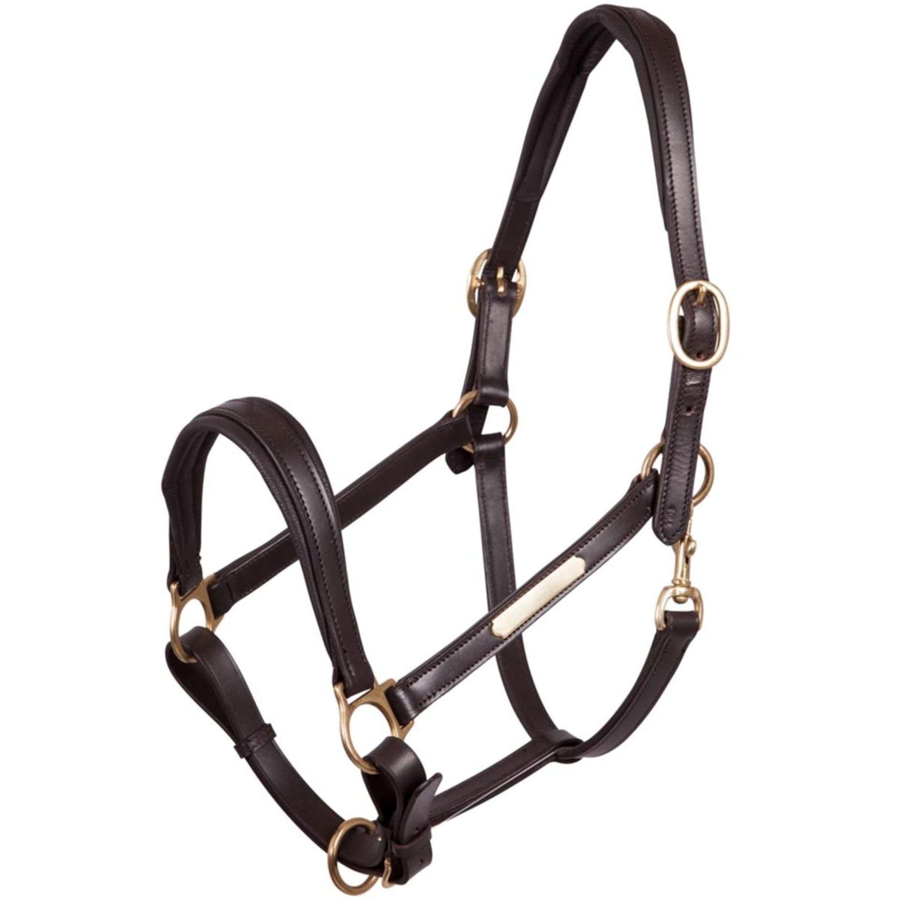 Premiere Halter Leather Lining Double Adjustable Brown