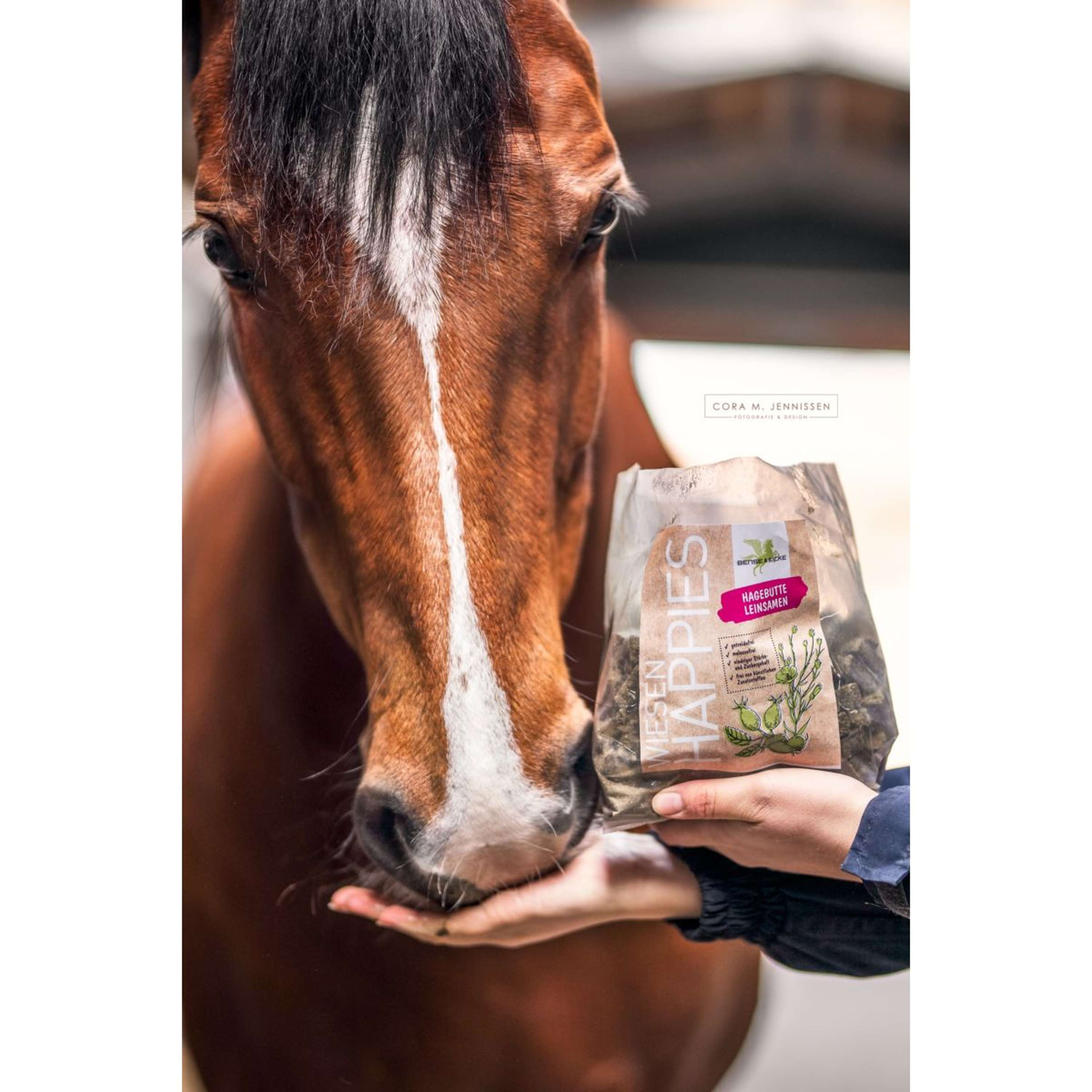 Bense & Eicke Horse Candy Wiesen Happies Rosehip Flaxseed