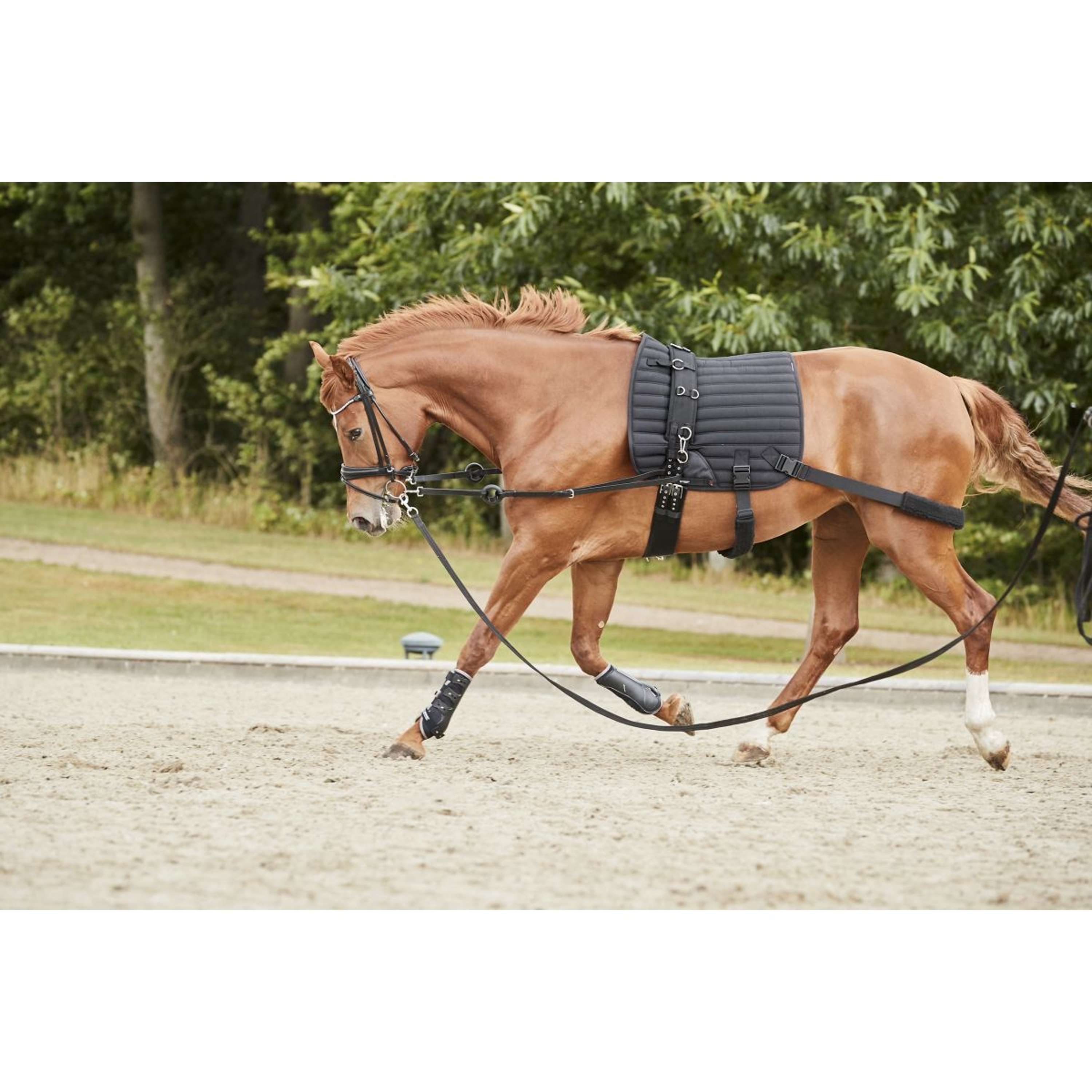 Catago Saddlepad Hybrid Training Dressage Black