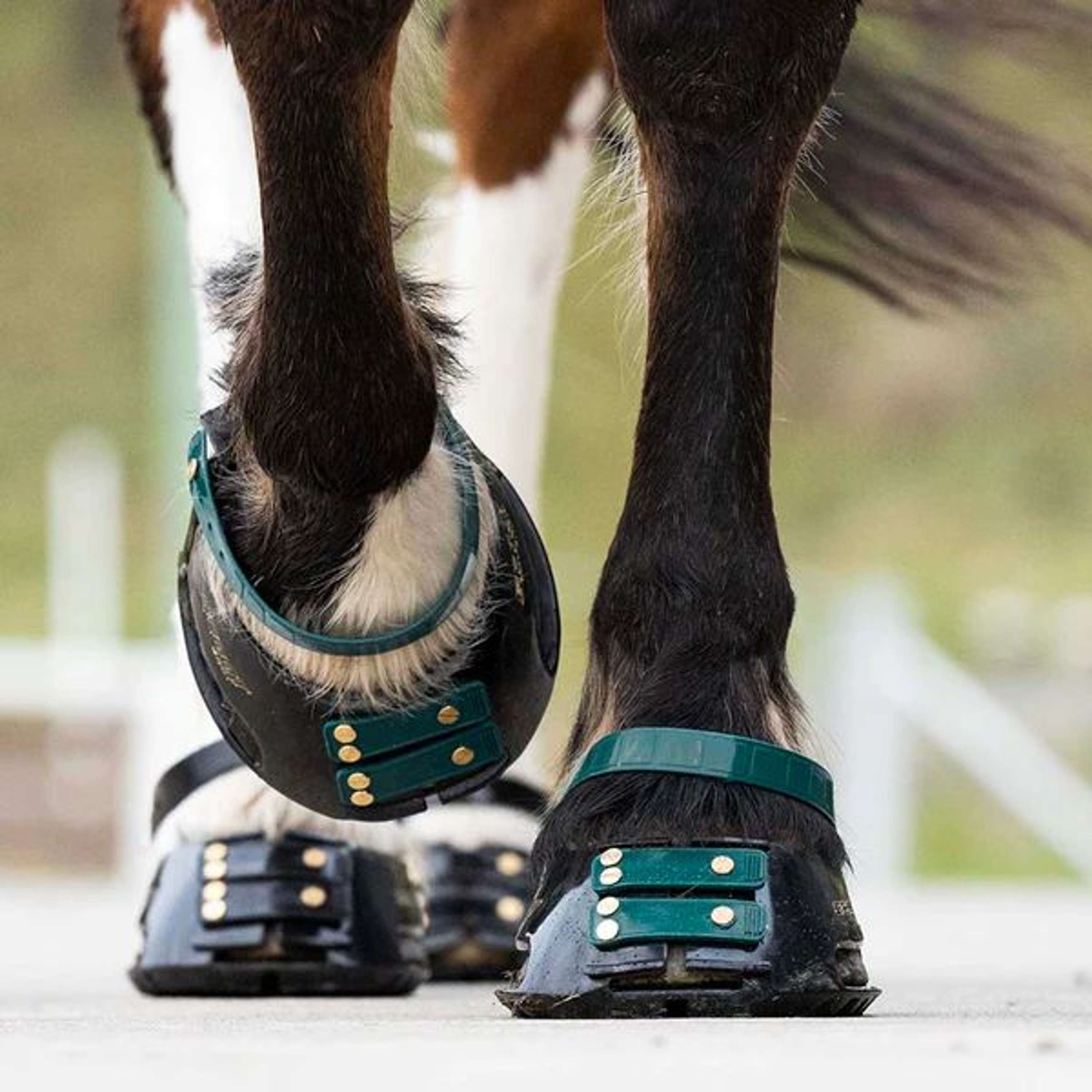 Scoot Boot Pastern Strap Emerald