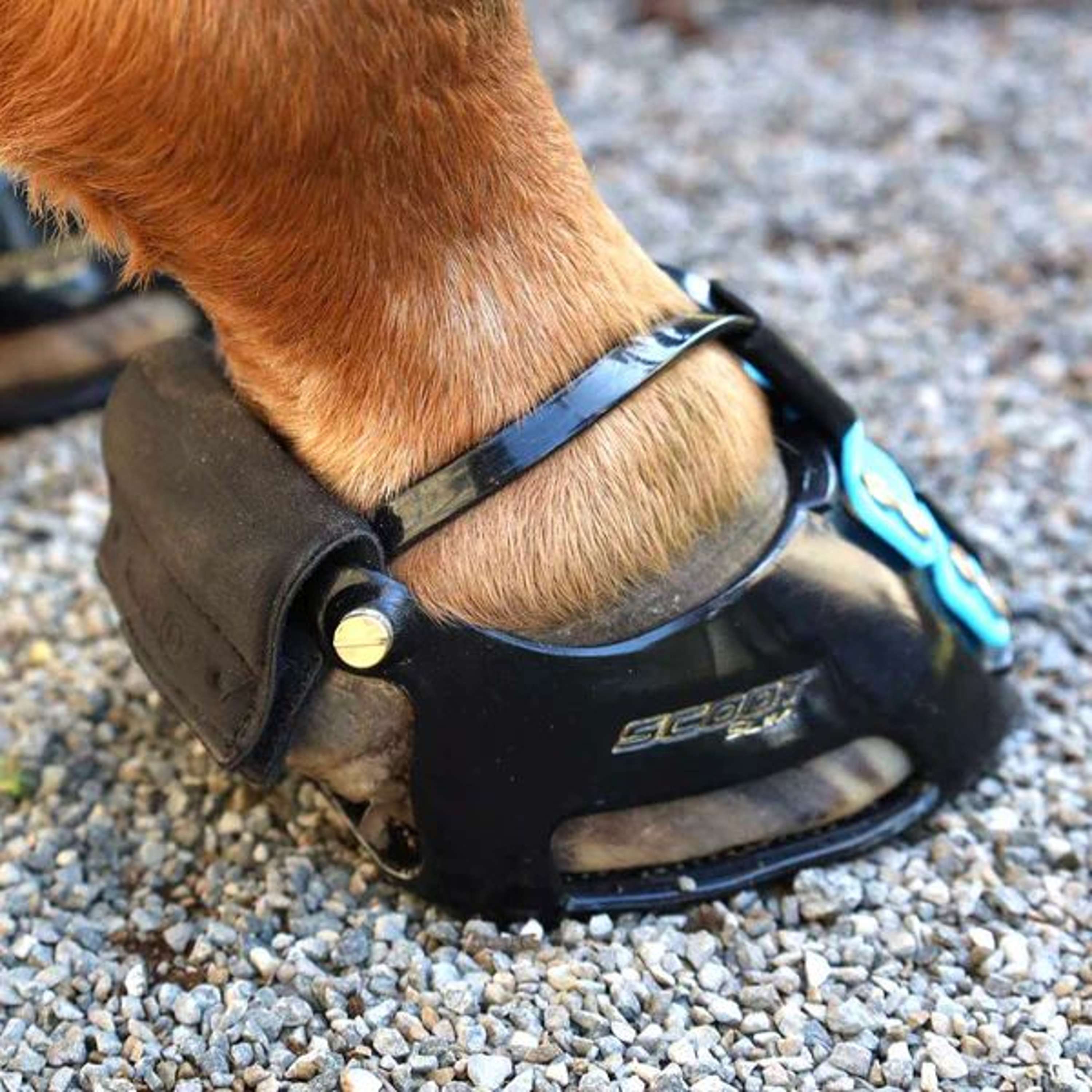 Scoot Boot Trail Gaiter Black