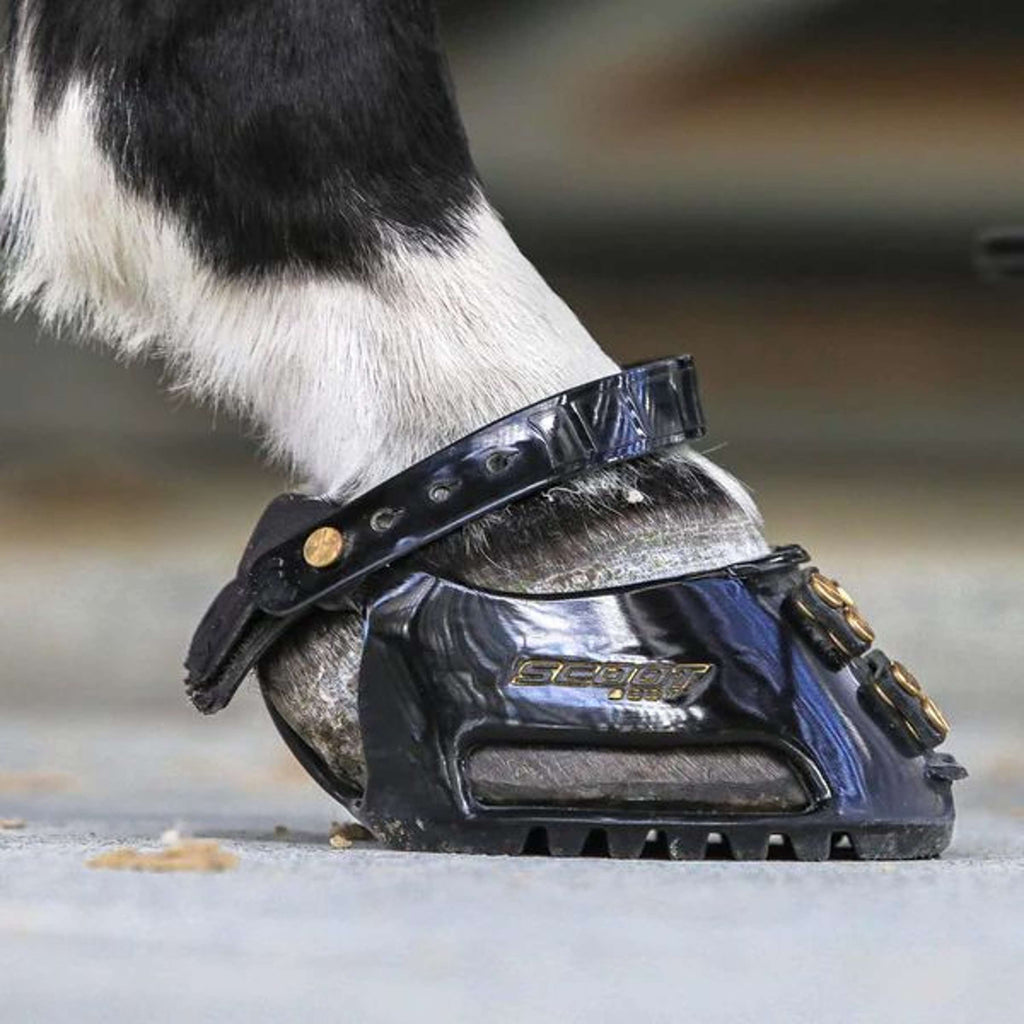 Scoot Boot Horse Shoe Slim Single Black