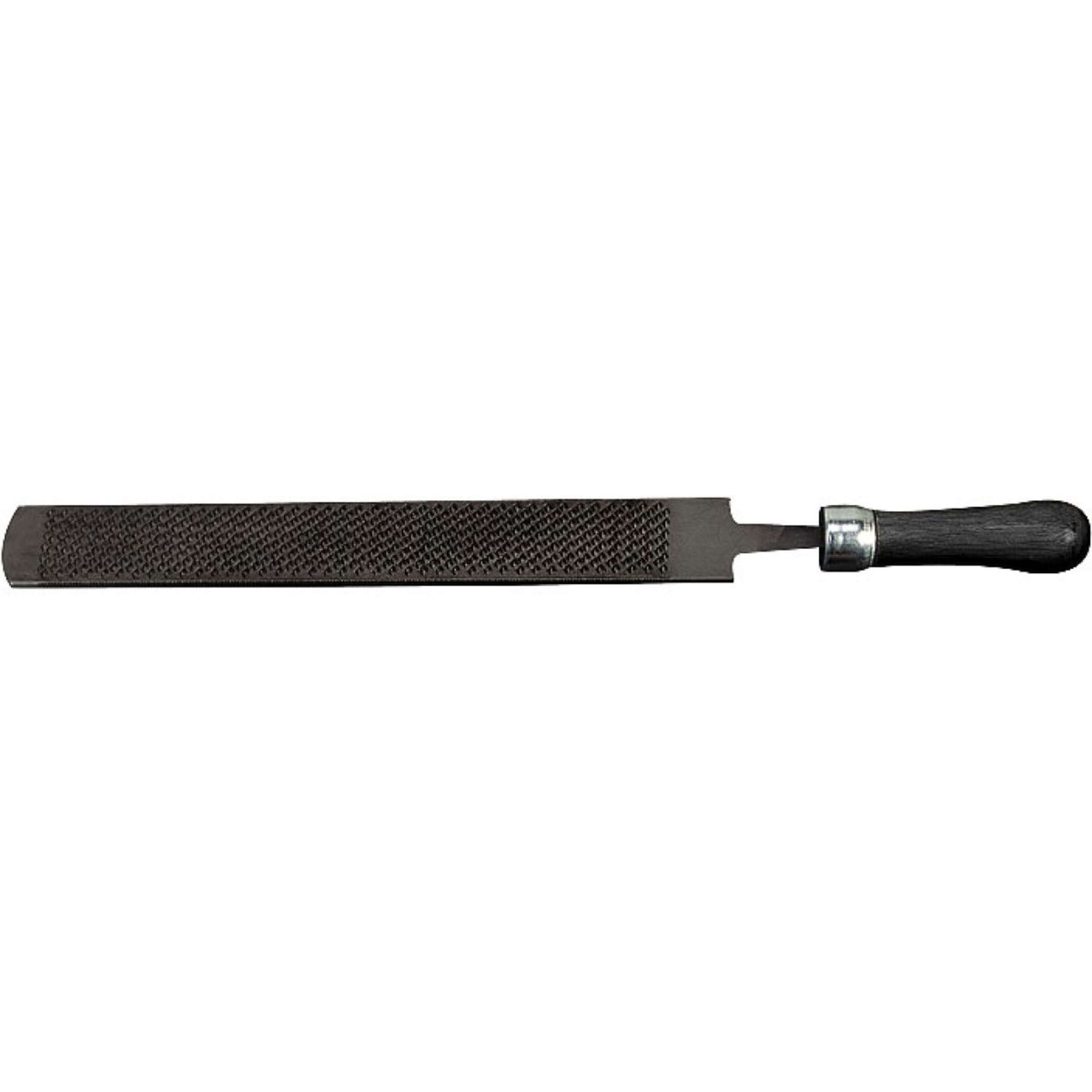 Rasp with Plastic Handle