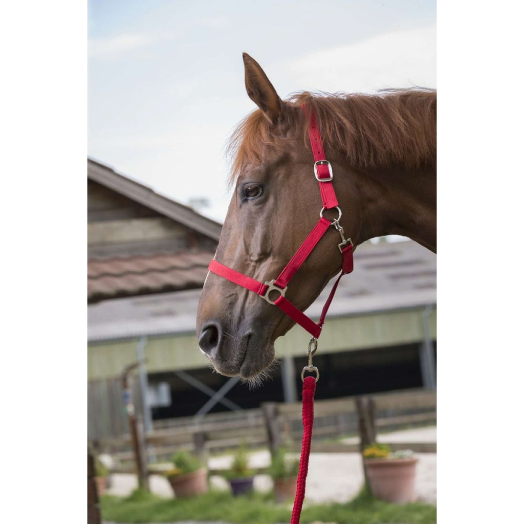 Riding World Halter Set Club with Rope Red