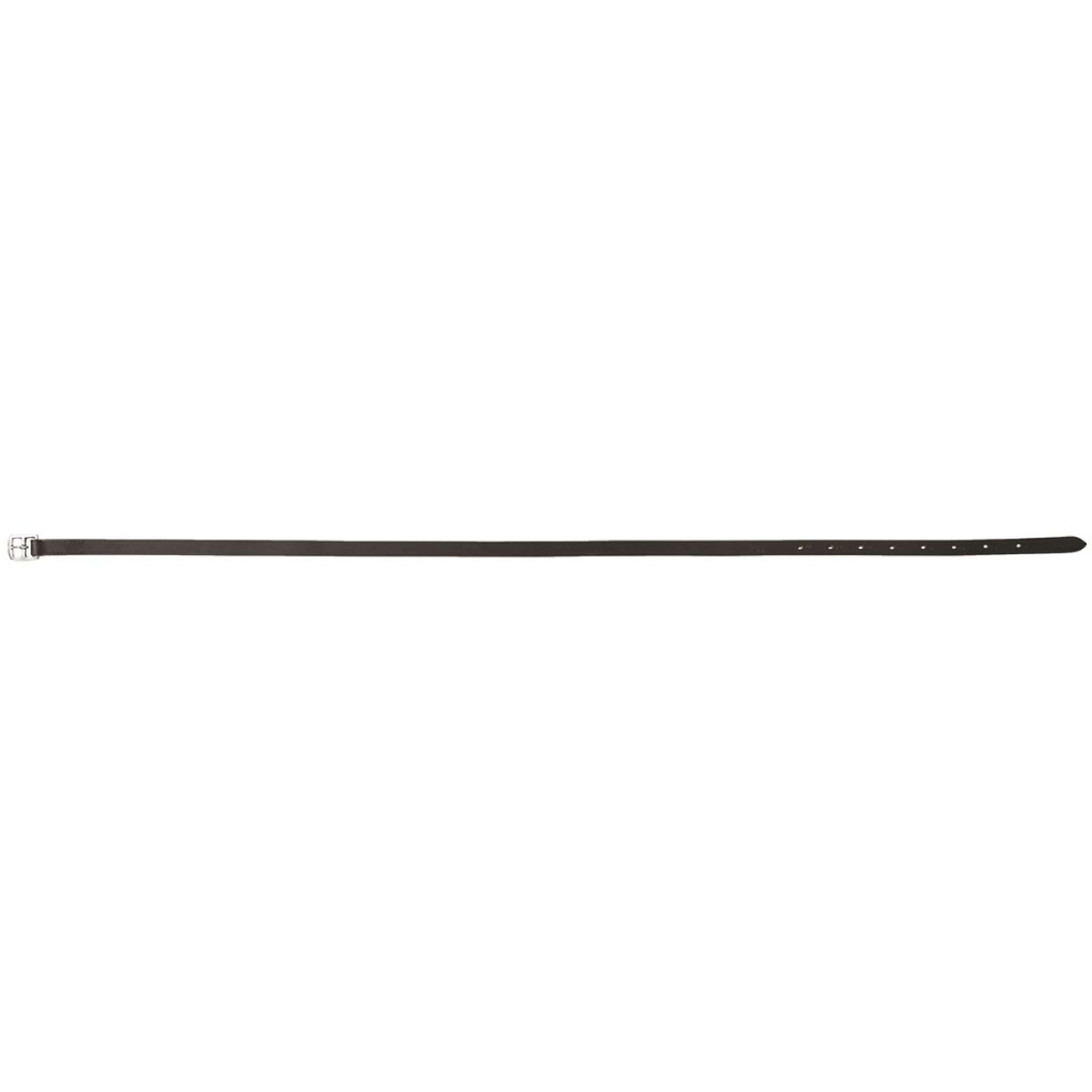 Riding World Stirrup straps Havana