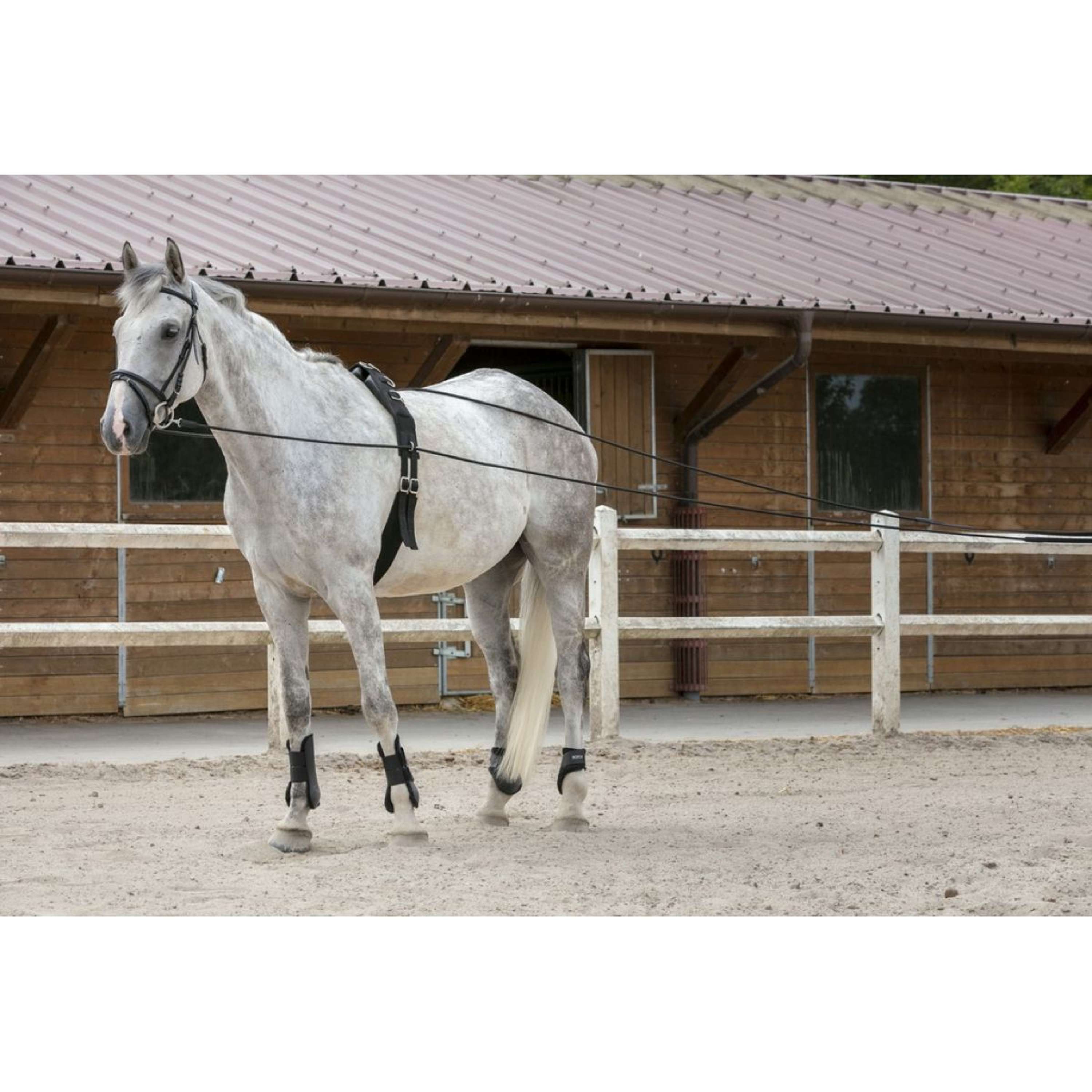 Riding World Reins Leather/Rope Havana