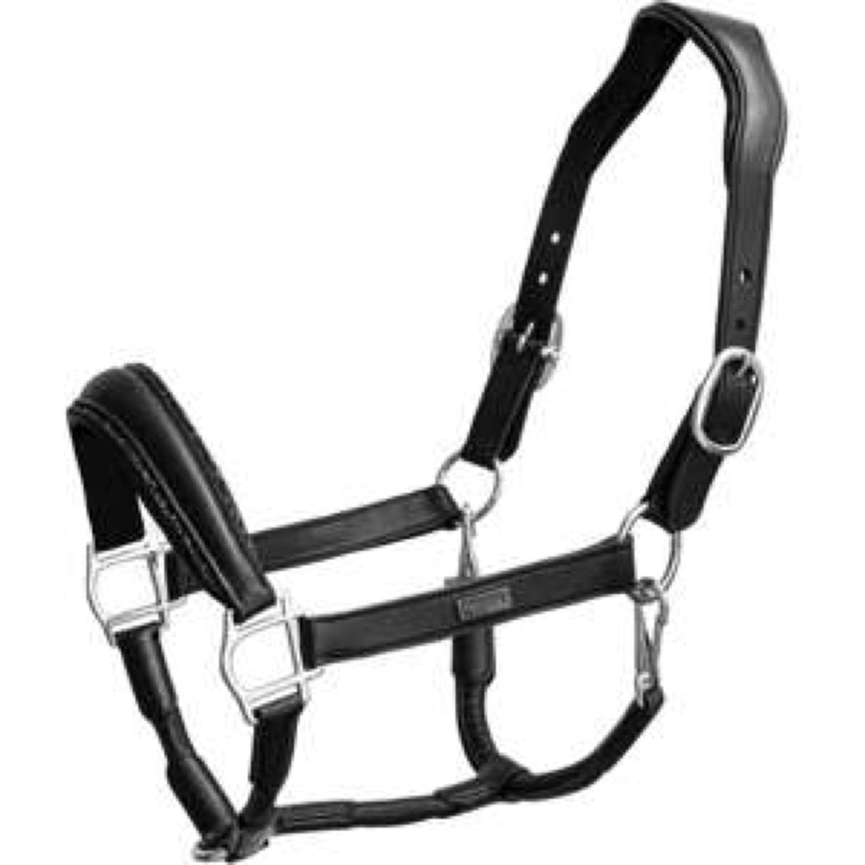 Equestrian Stockholm Halter Glimmer Anatomic Leather Black