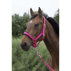 Norton Halter Set Large Raspberry