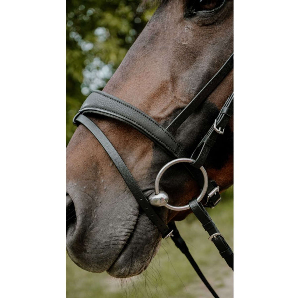 Norton Bridle Endurance Black