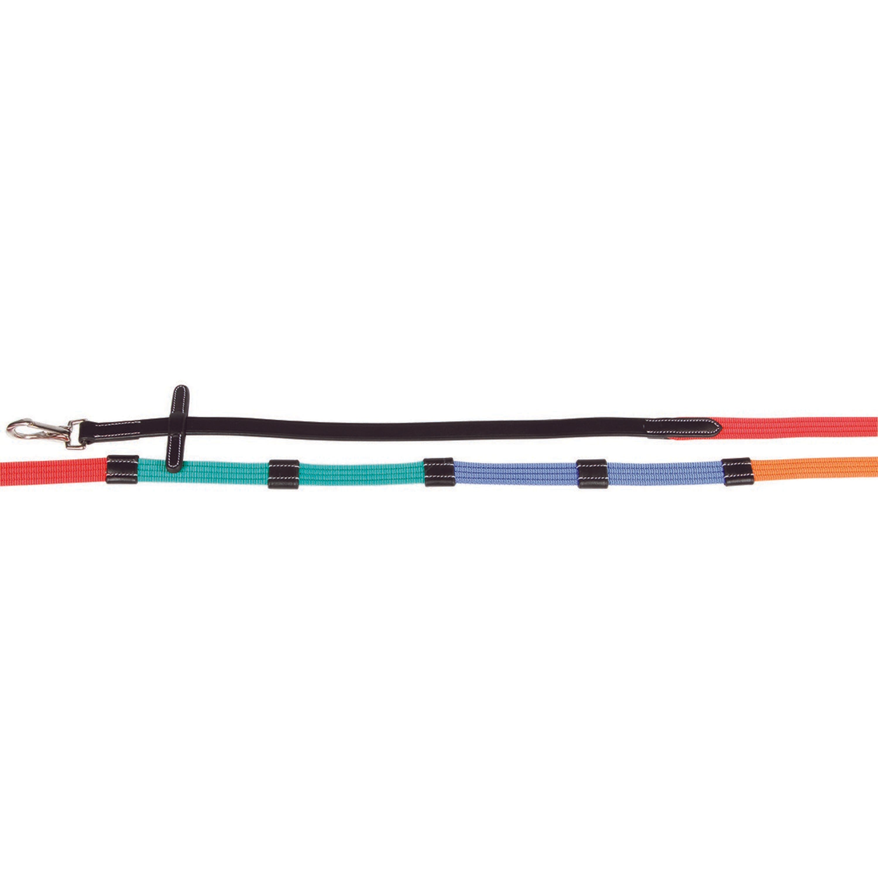 Harry's Horse Training Reins Web