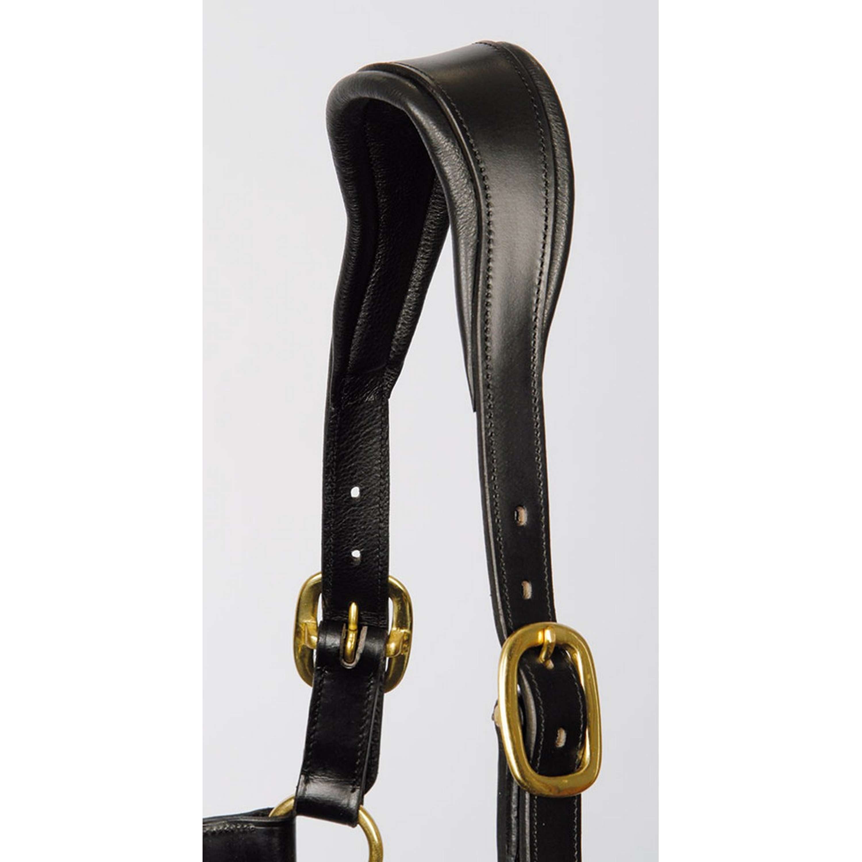 Harry's Horse Halter Anatomical Leather Black
