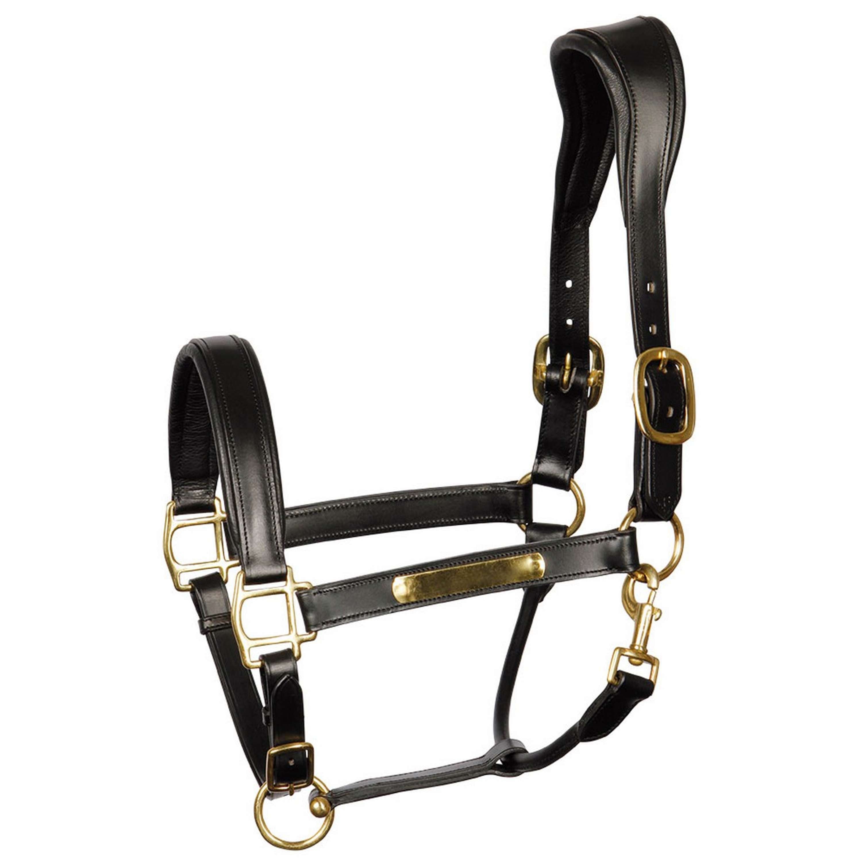 Harry's Horse Halter Anatomical Leather Black
