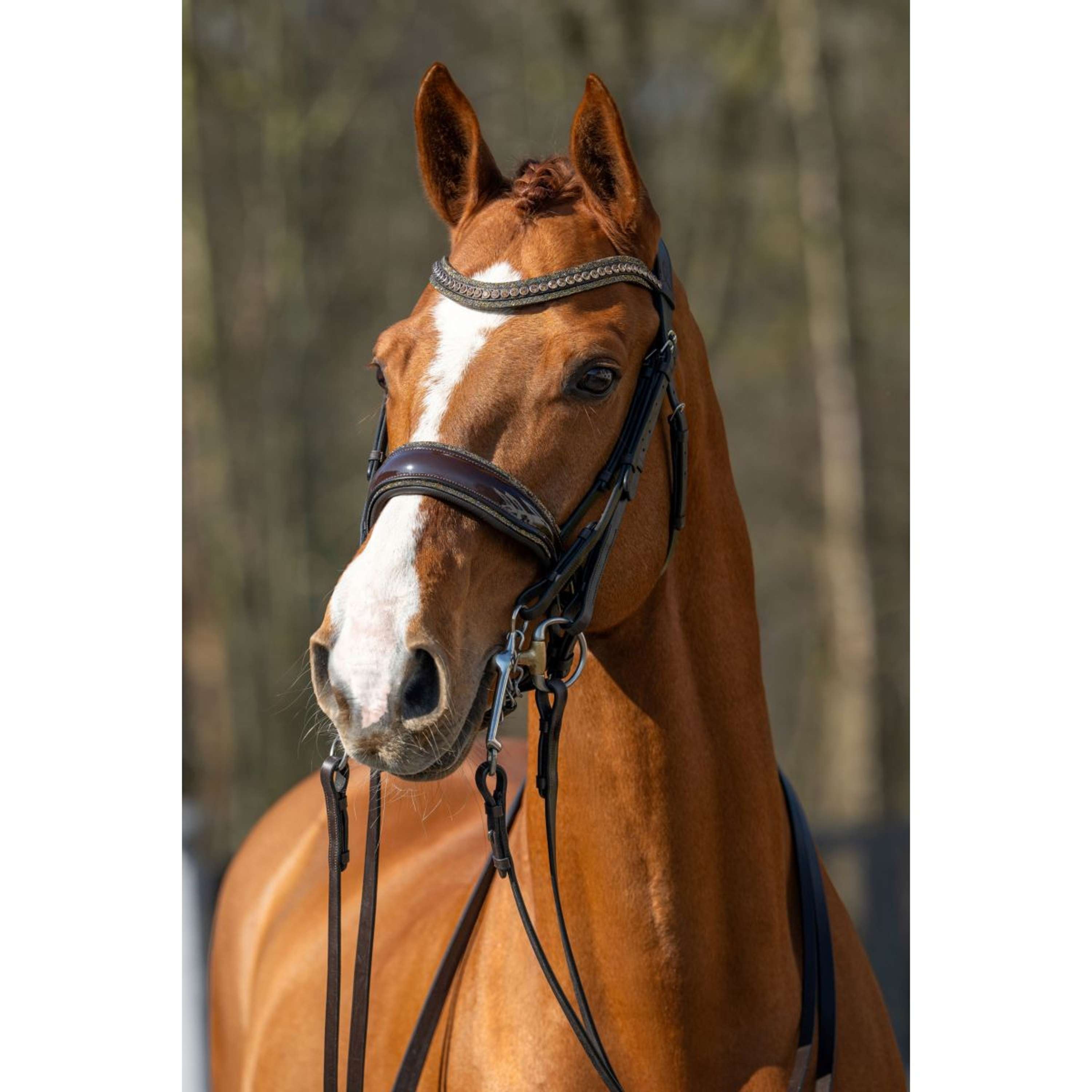 HB Bridle Showtime One in a Million Brown/Golden Glitter