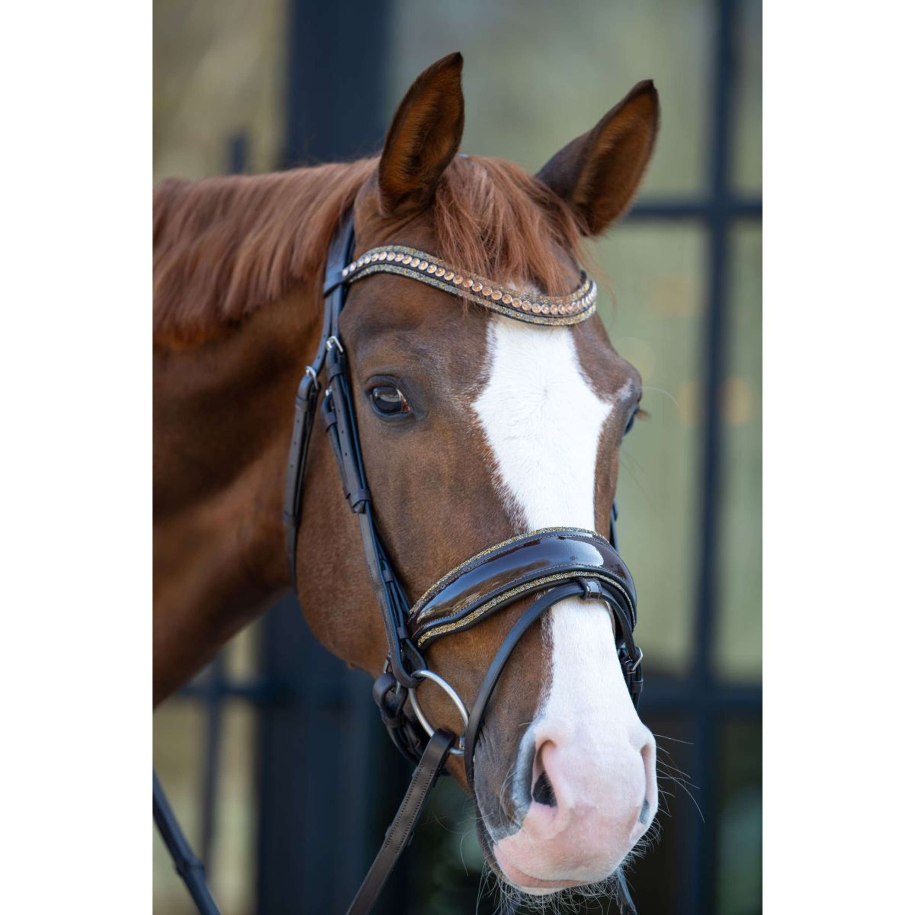 HB Bridle Showtime It is So Special Brown/Golden Glitter