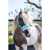 HB Halter Nylon Cavesson Lightblue
