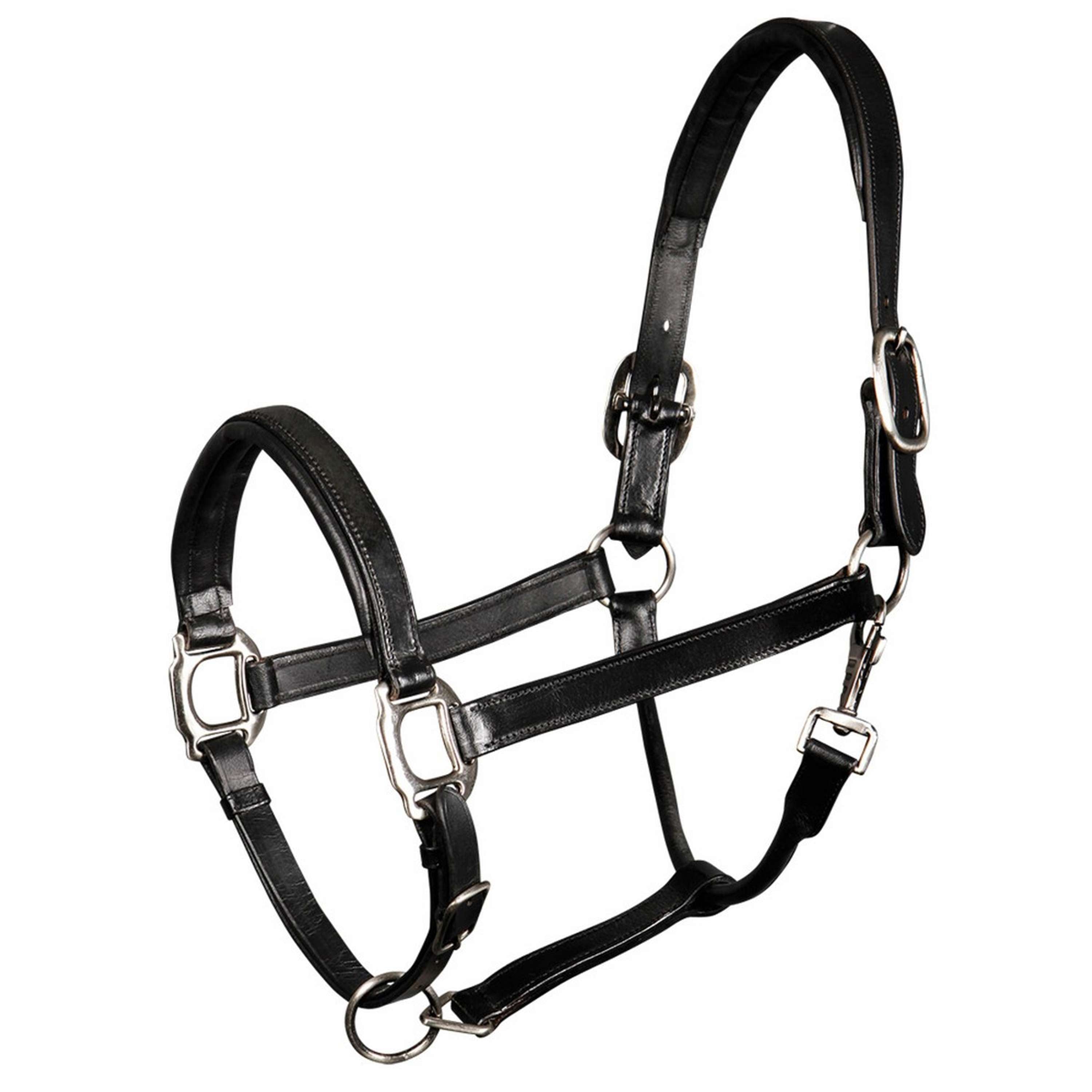Harry's Horse Halter Padded Leather Black