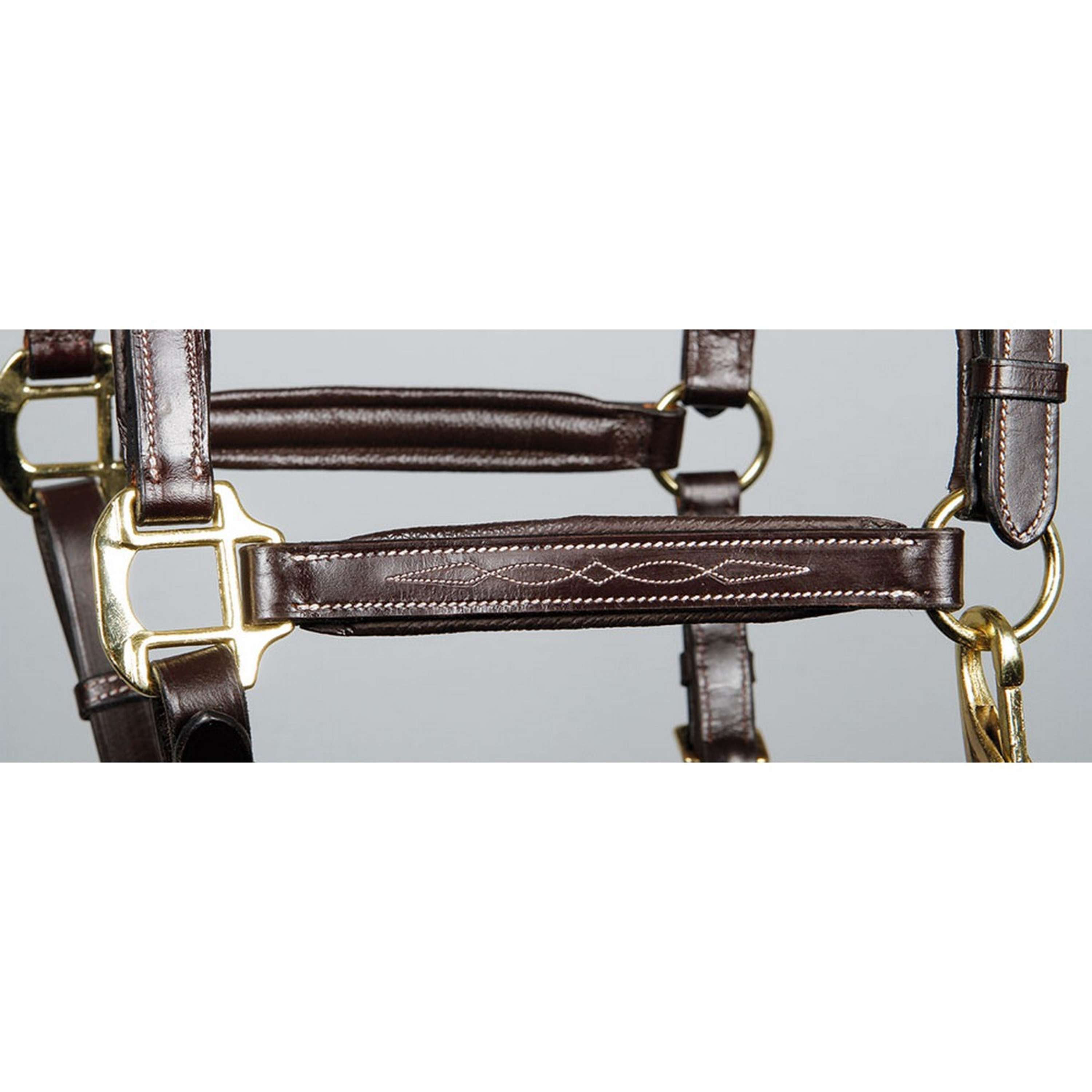 Harry's Horse Halter Supreme Leather Brown