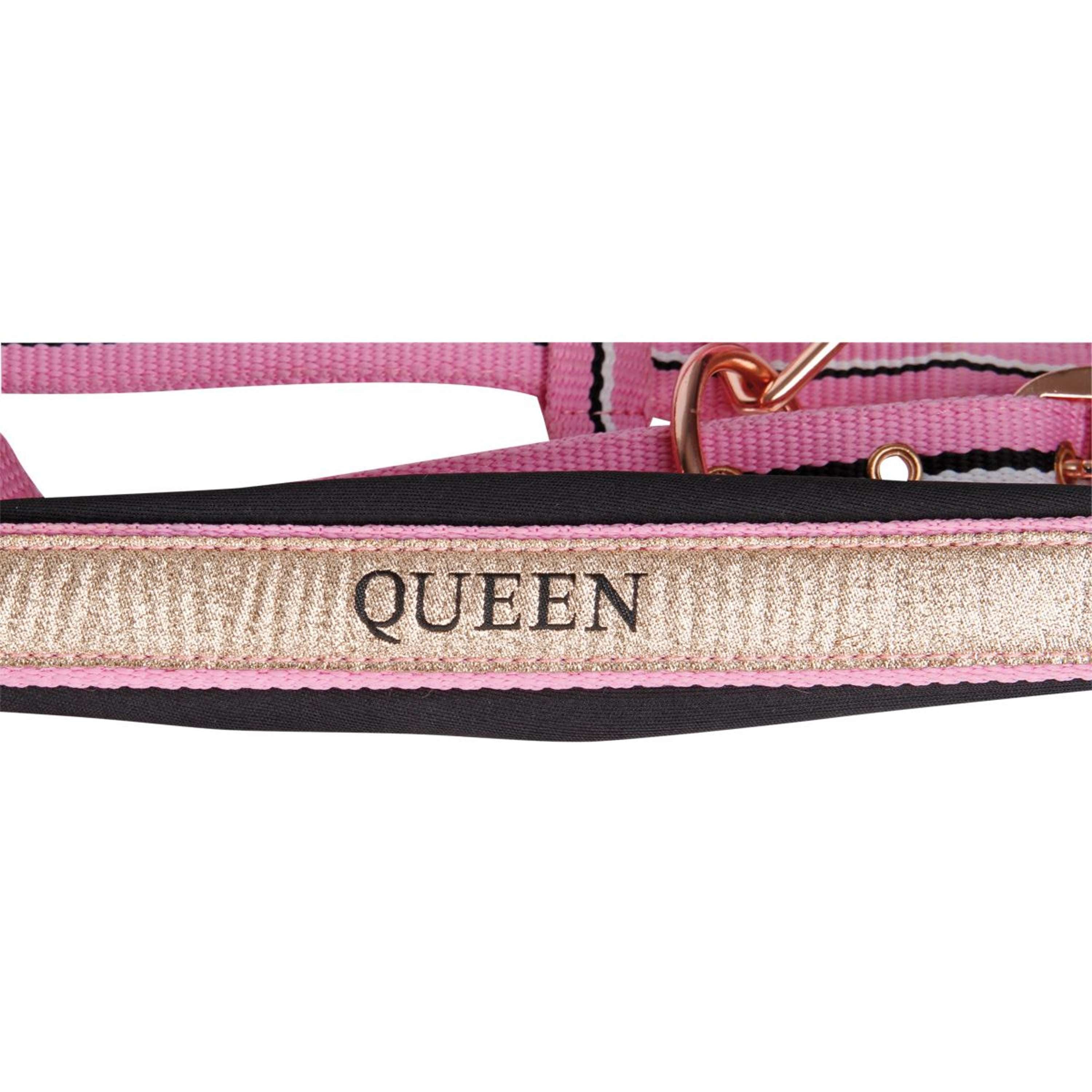 Harry's Horse Halter Set Mare Pink