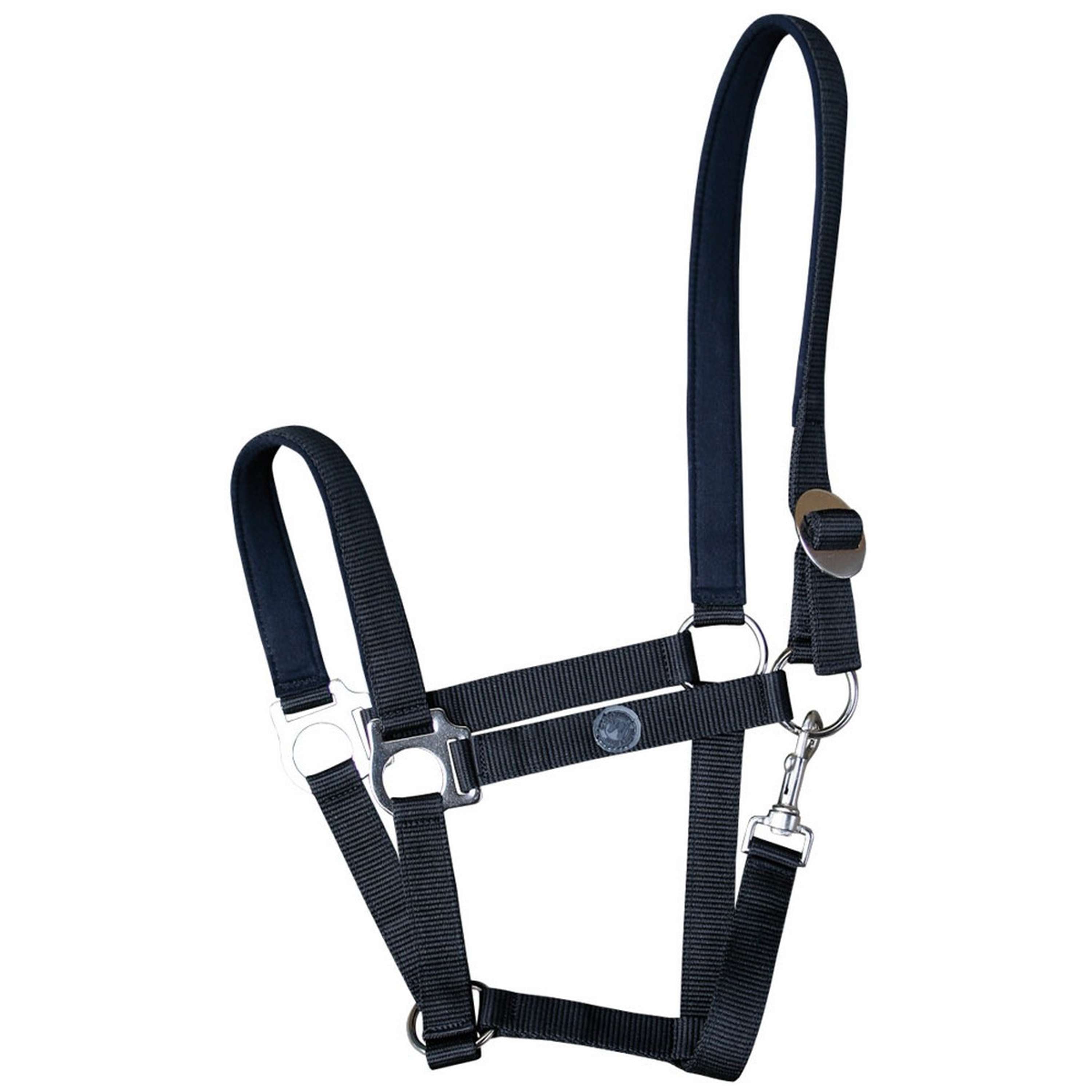 Harry's Horse Halter Padded Black