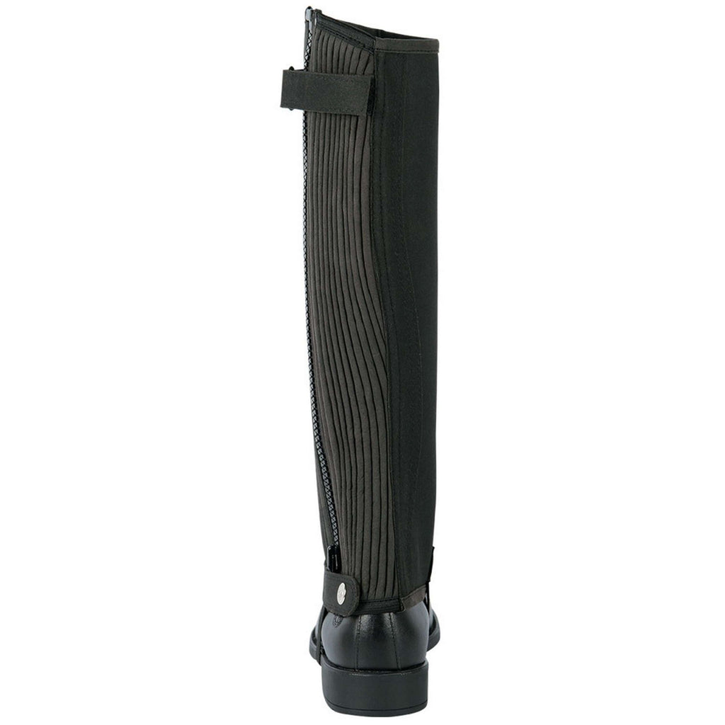 Harry's Horse Chaps Amara Regular Black