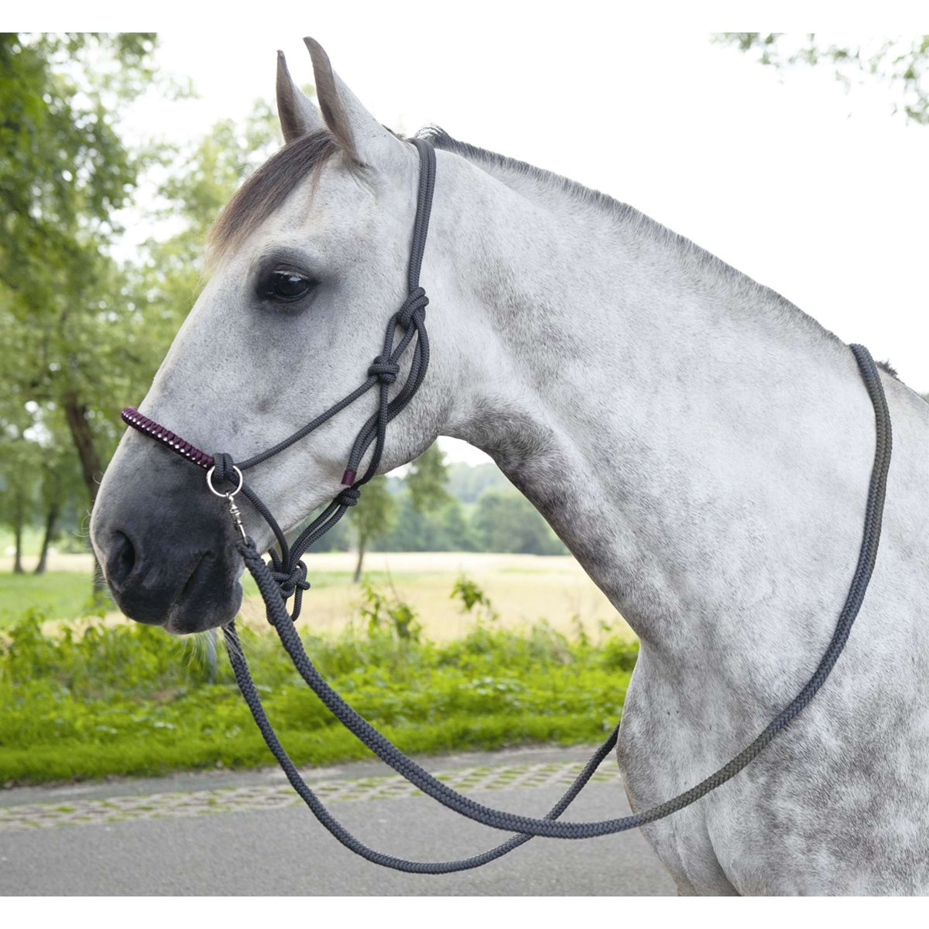 HKM Rope Halter Strass Deko with Reins Dark Grey/Grapevine