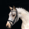 HKM Bridle Little Star Black