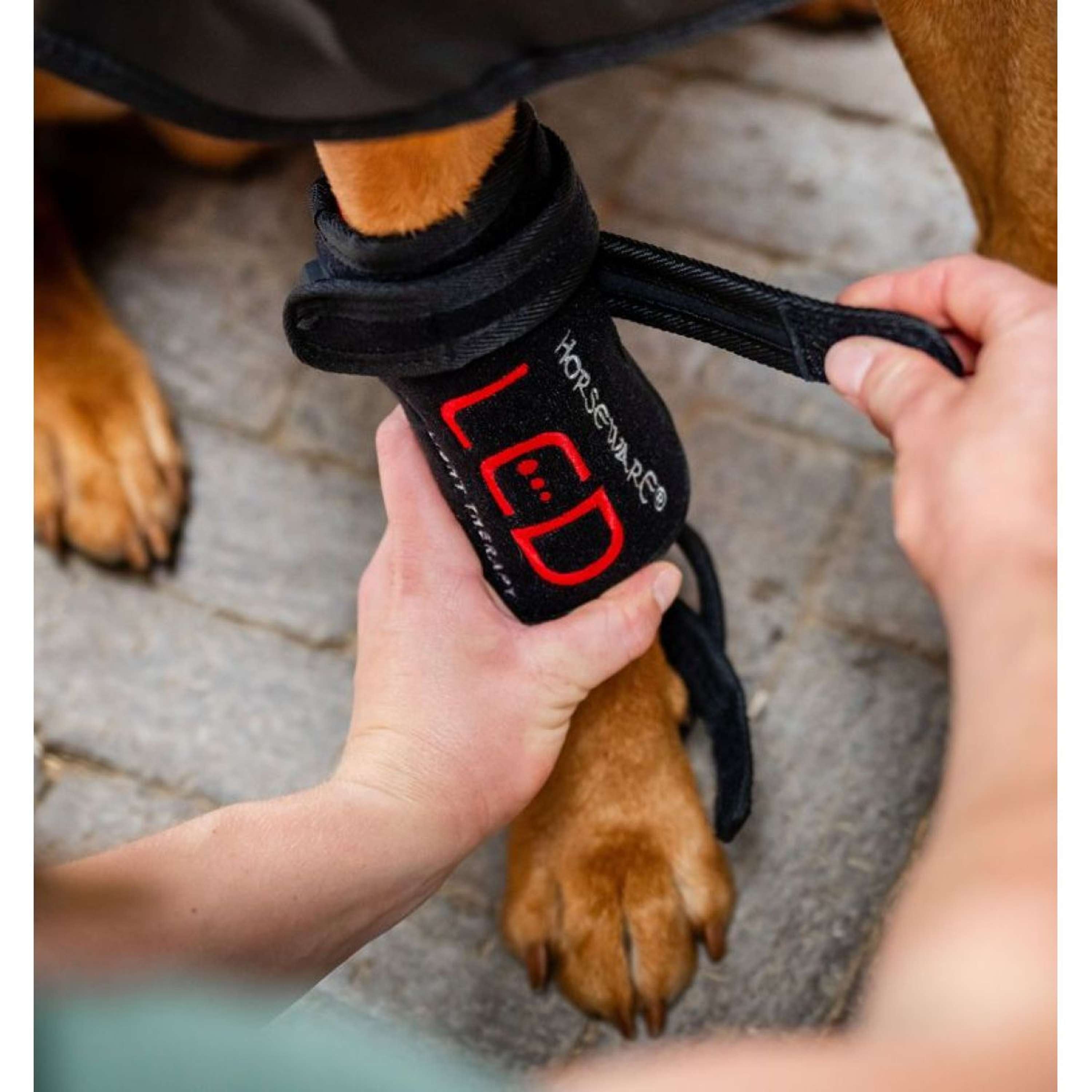 Horseware LED Red Light Therapy Pet Leg Wrap Black