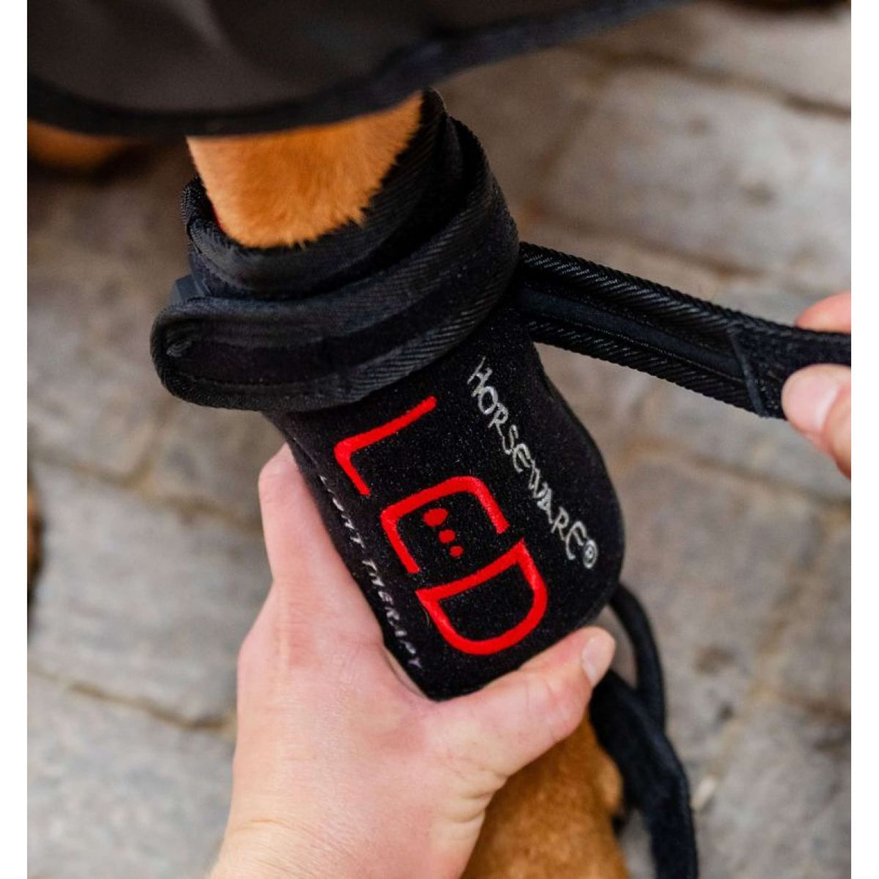 Horseware LED Red Light Therapy Pet Leg Wrap Black