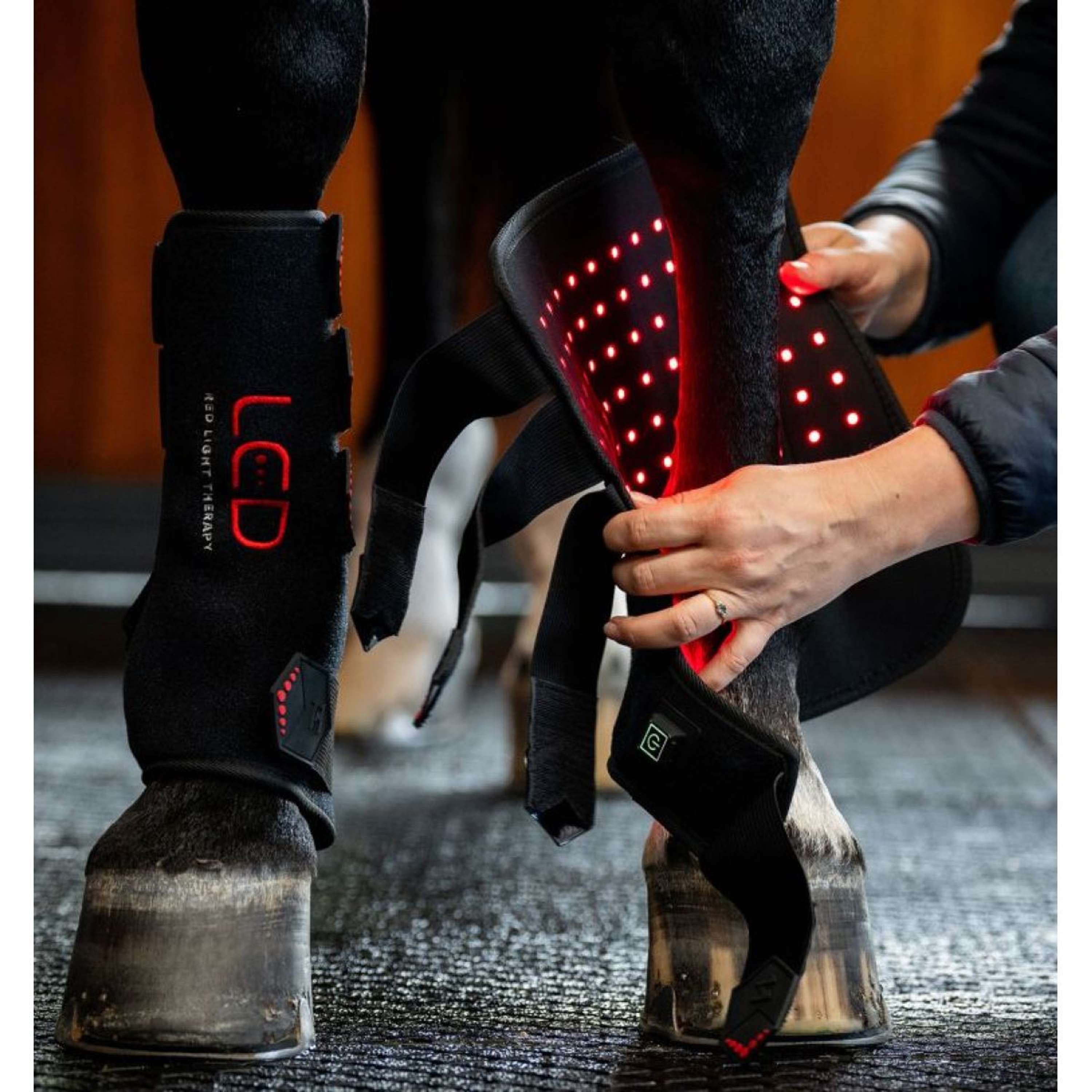 Horseware LED Red Light Therapy Left Leg Wrap Black