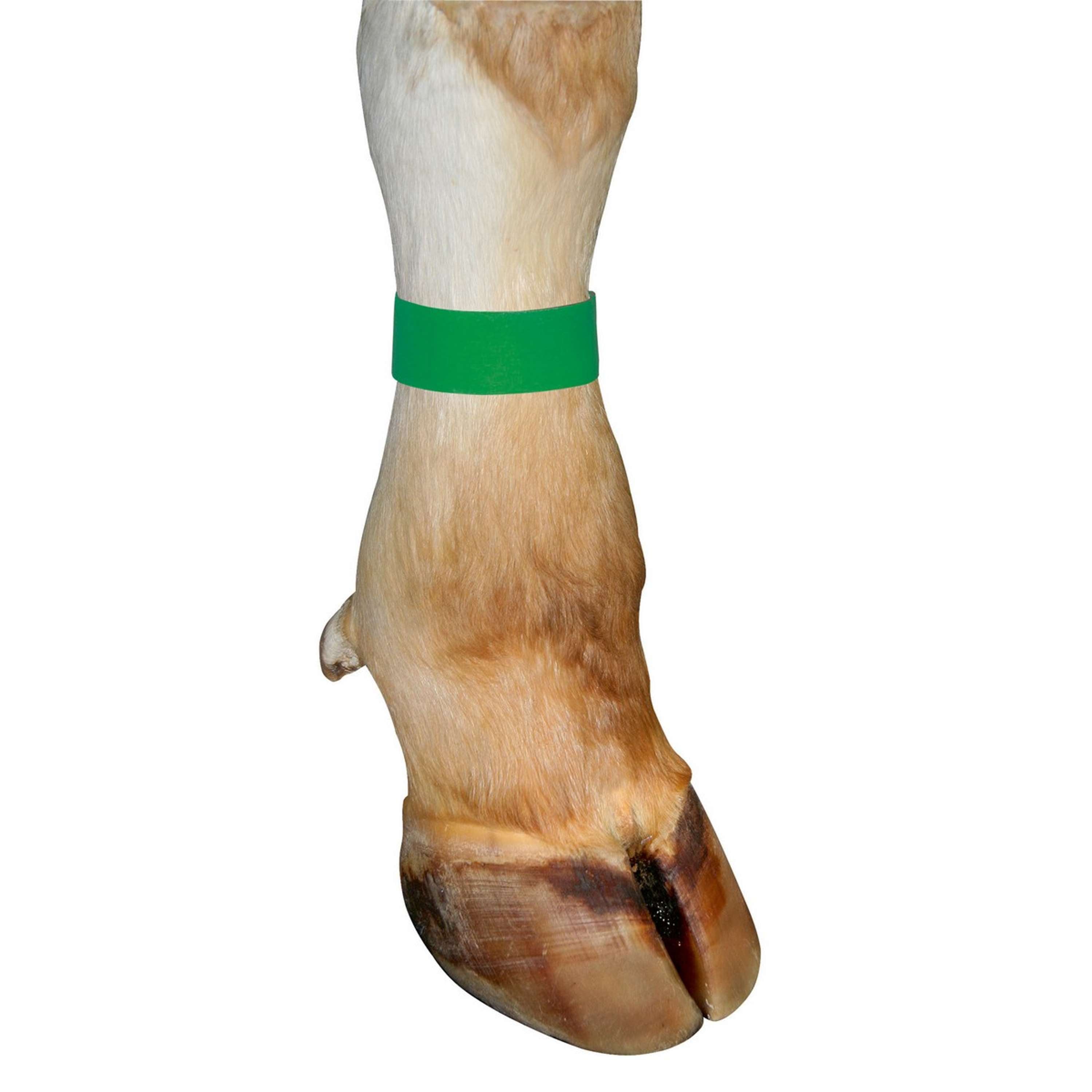 Kerbl Legbands 10 pieces Green