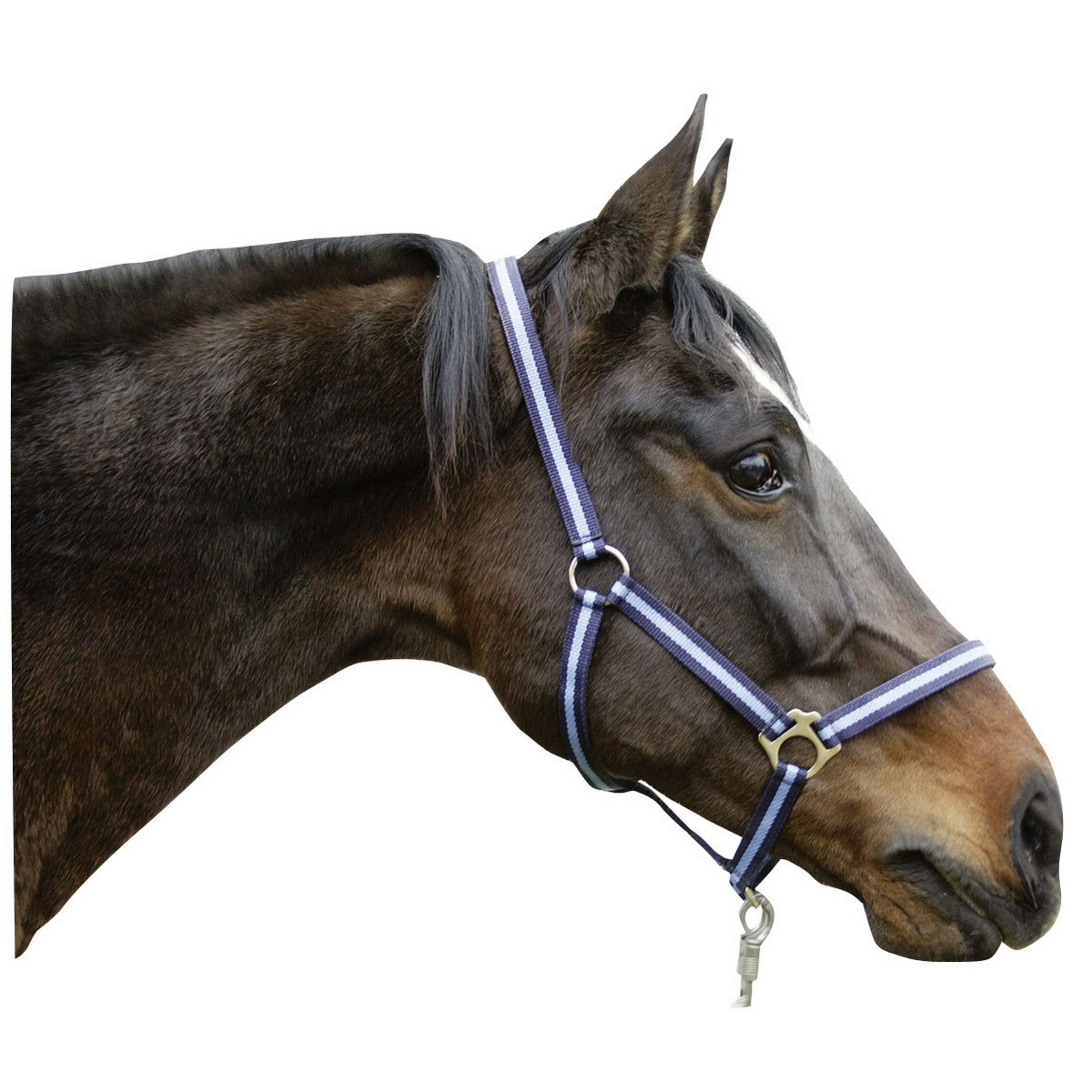 Covalliero Halter Hippo Marine/Light