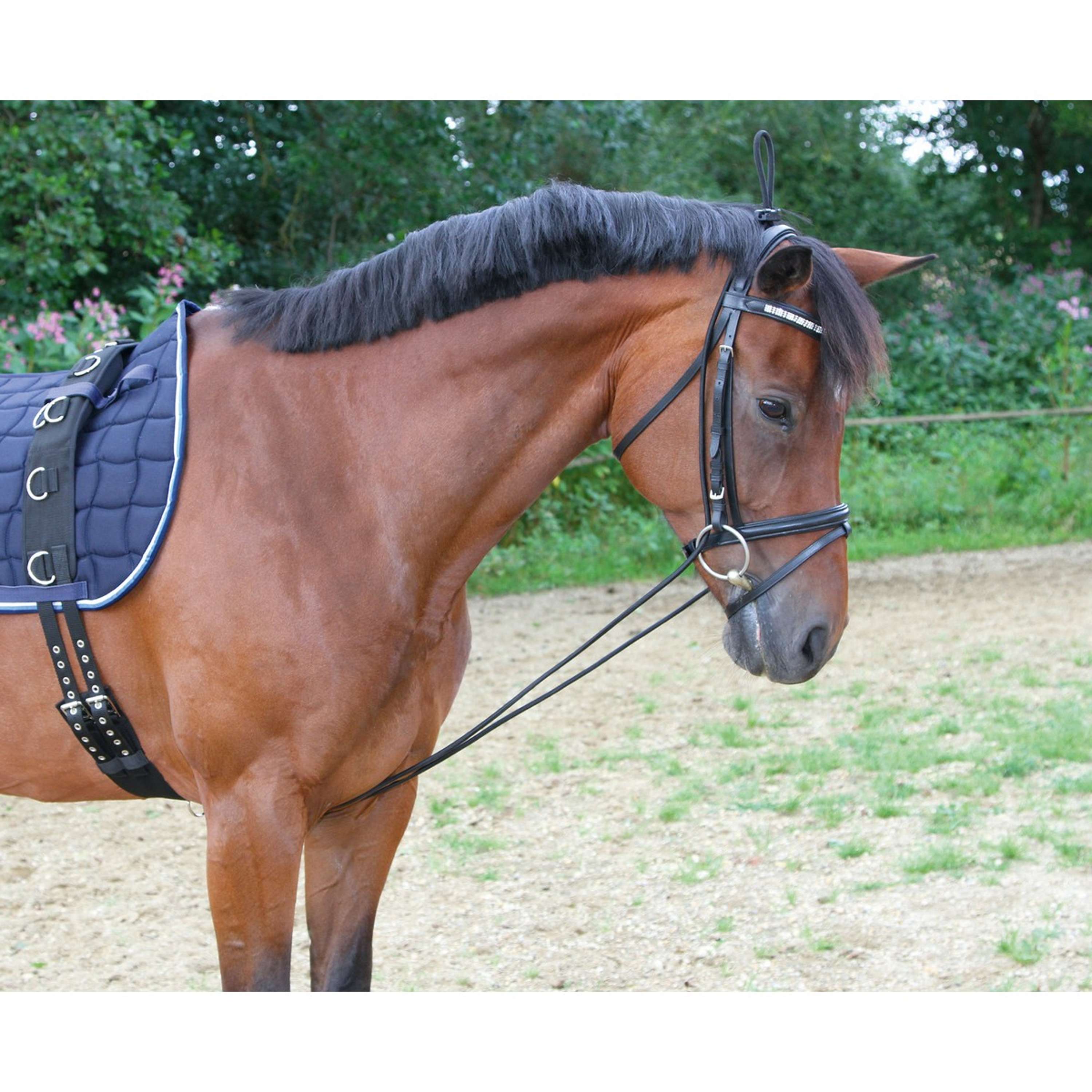 Kerbl Neck Extender Black