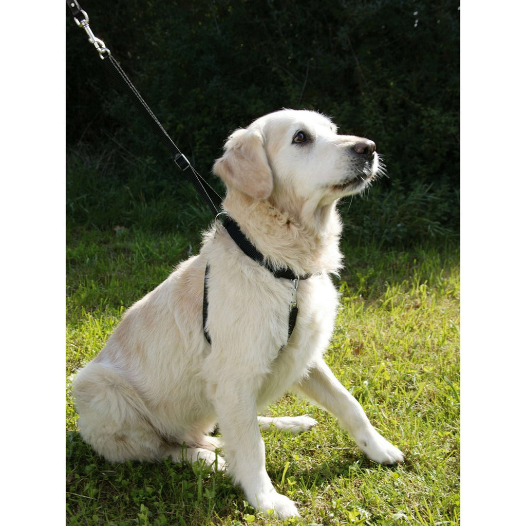 Kerbl Harness Maxi Leader Black